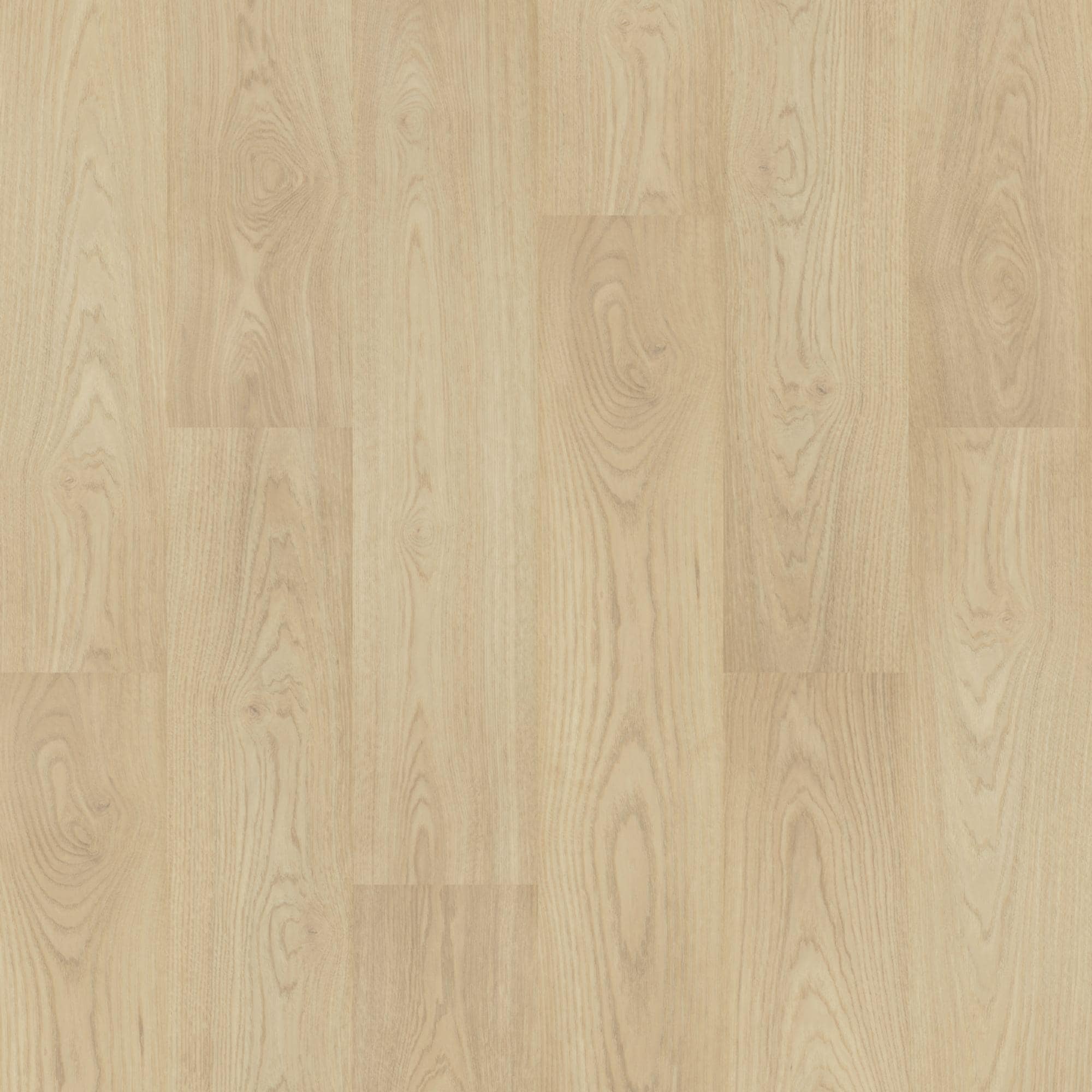 kohakupapa Mohawk Eden Springs Criollo Hickory 8