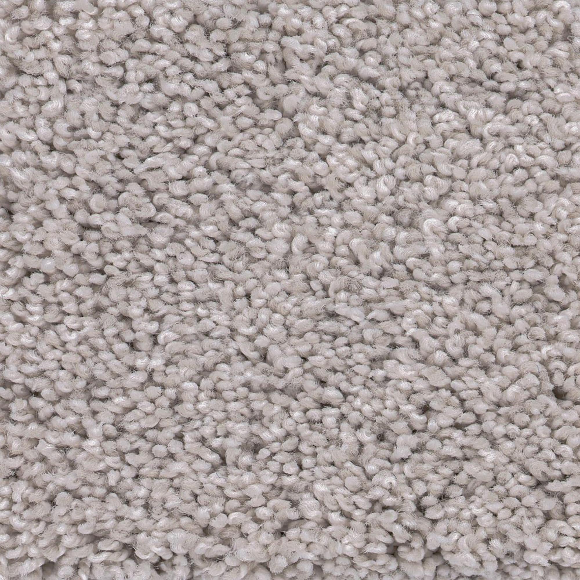Anderson Tuftex Caress Cozy Harbor I Carpet in Free Space