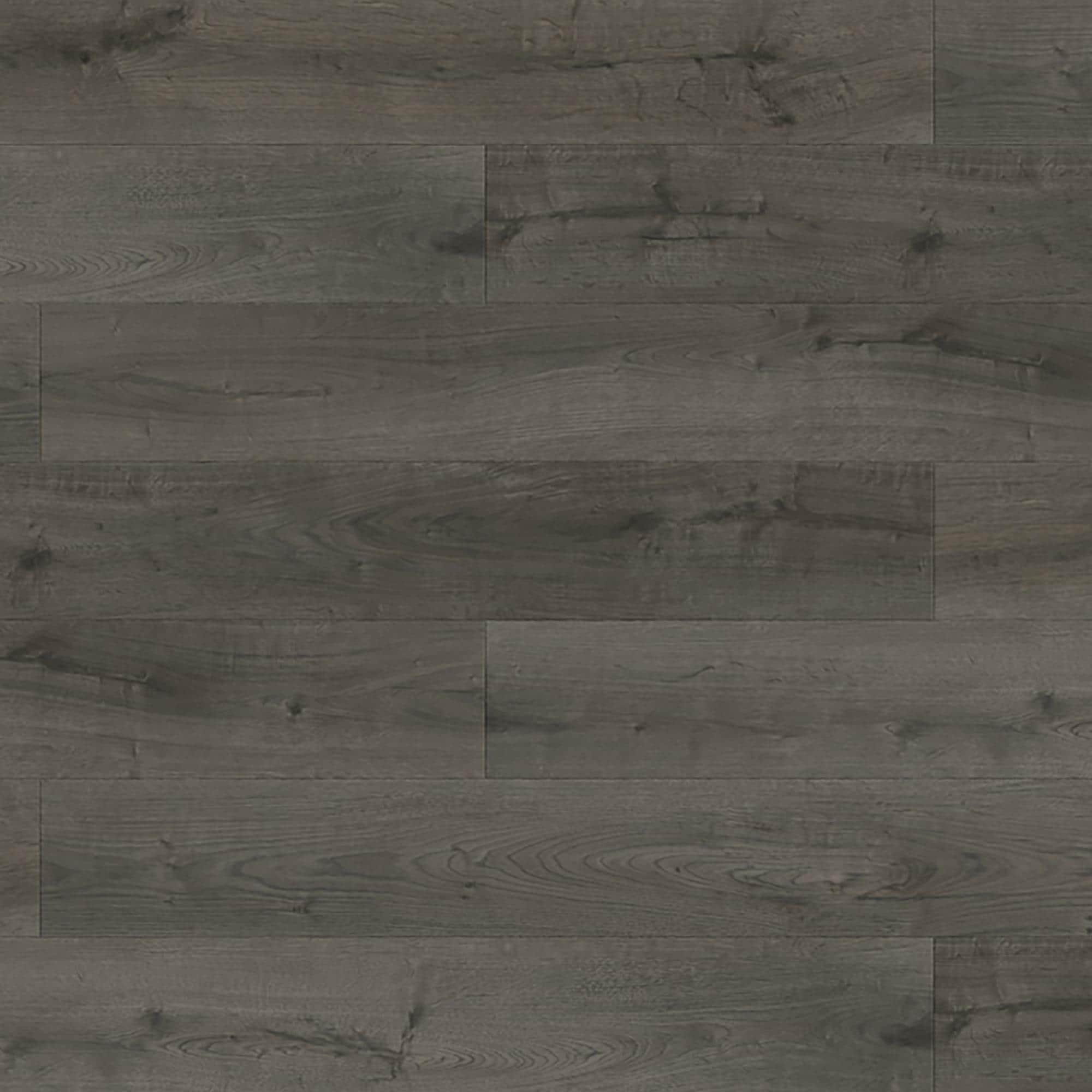 Lions Floor Bambino Cliffside Oak 7