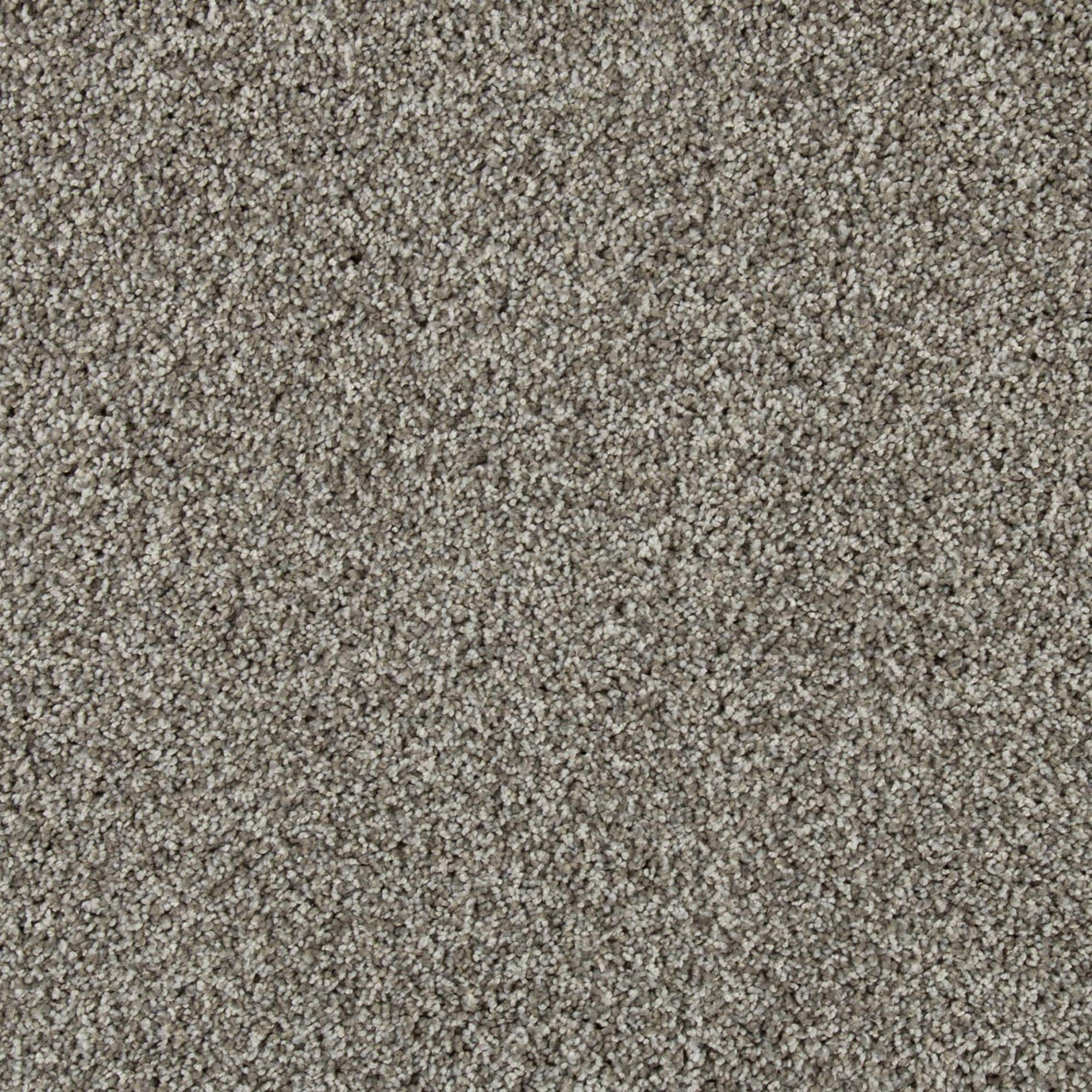 Mohawk Olympus III Carpet in Aluminum