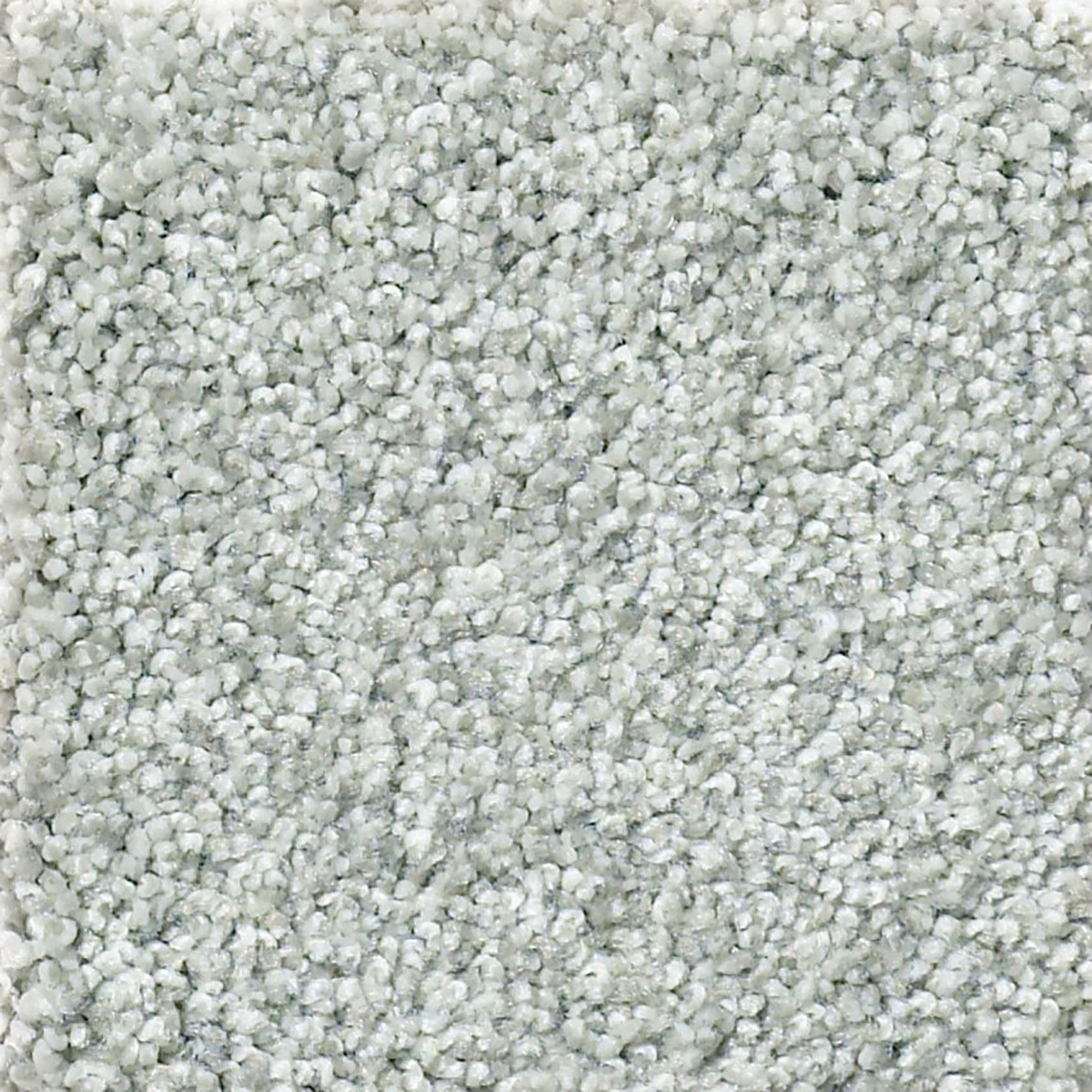 Philadelphia Find Your Comfort TT Blue Carpet in Refreshed NFM