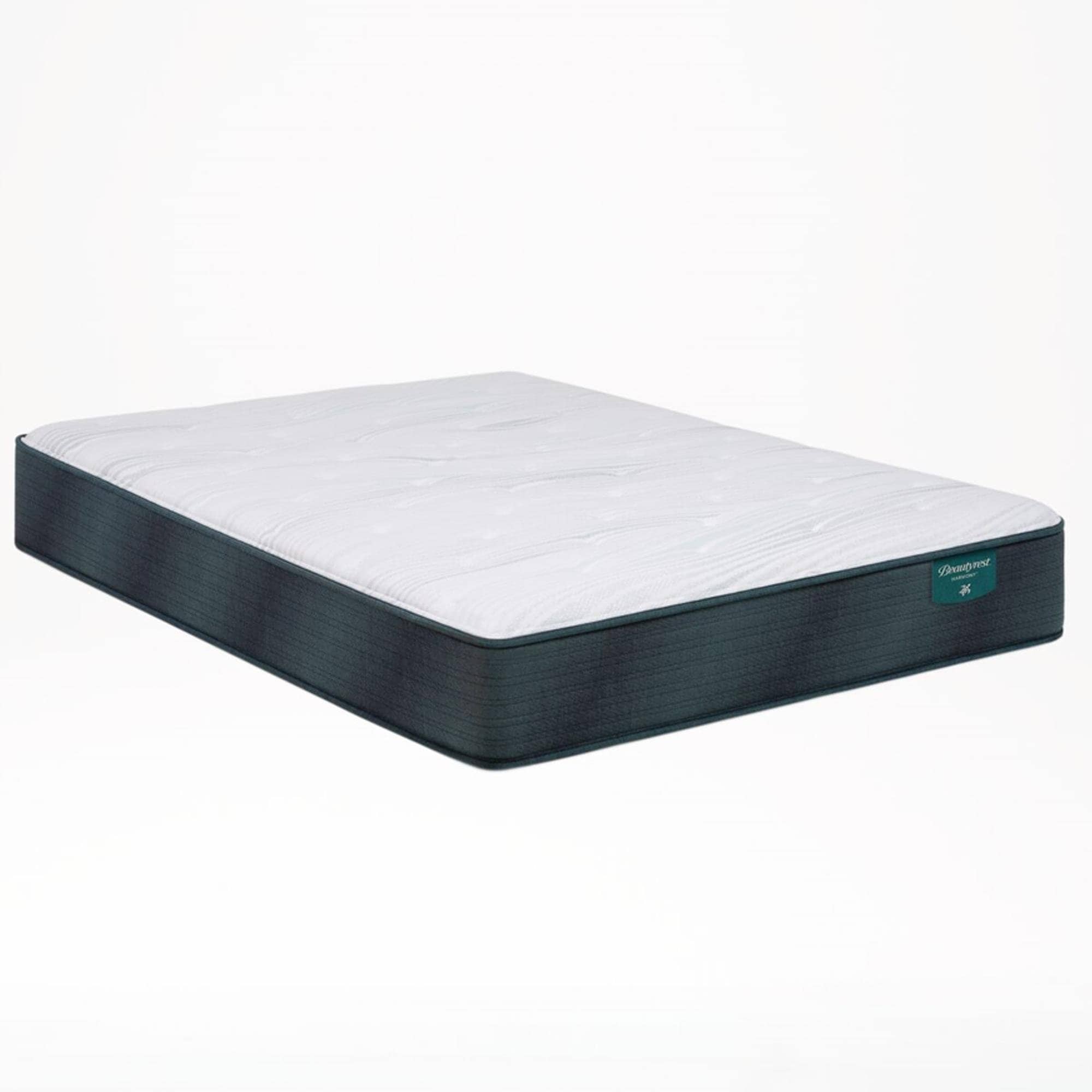 Beautyrest navy on sale pier plush