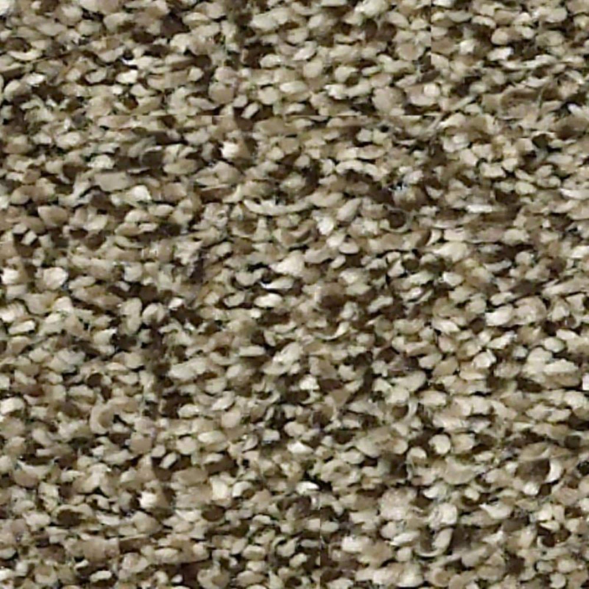 Shaw Points of Color I Carpet in Leather NFM