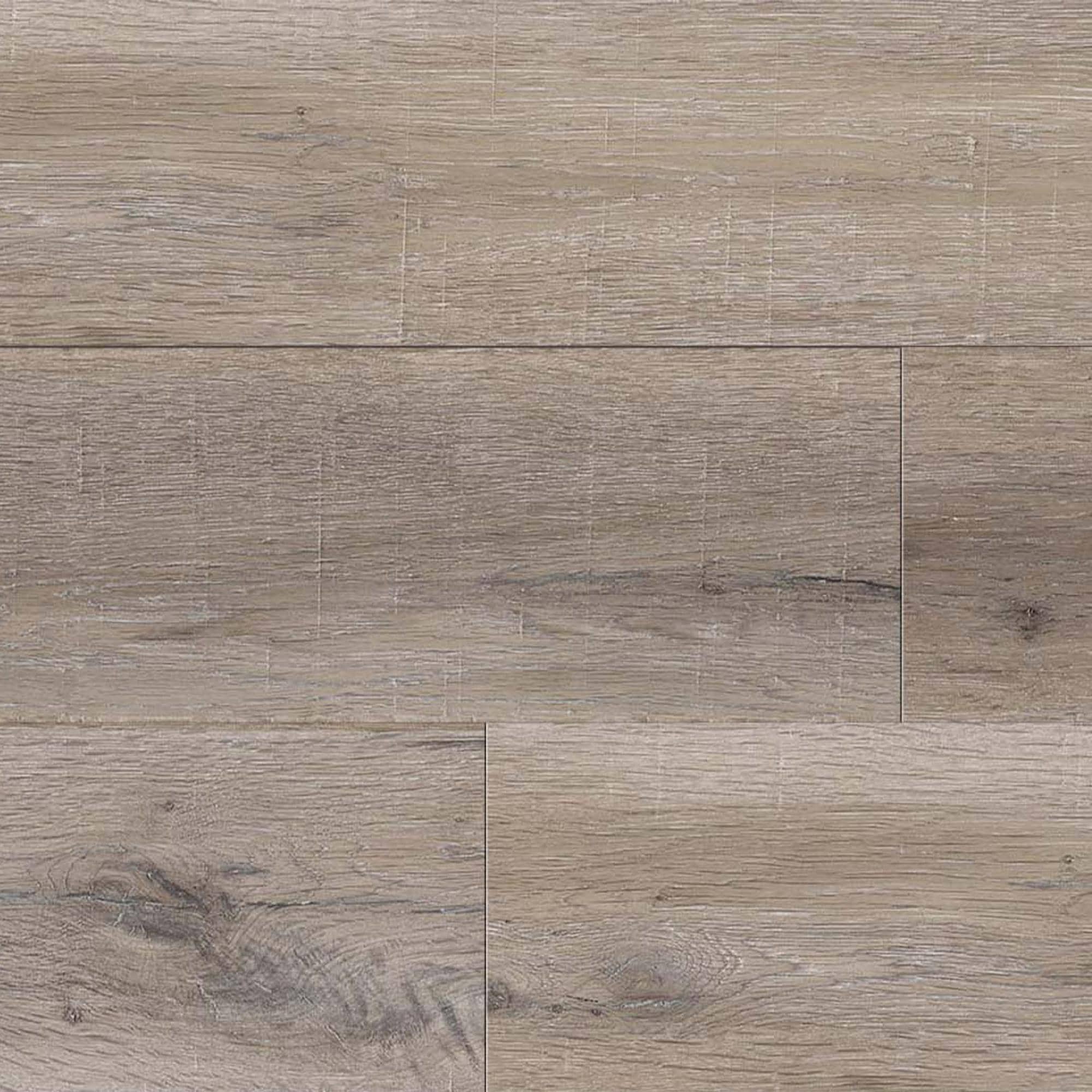 ✤Fuutan✤ Shiranui Flare | Hololive Wiki | Fandom