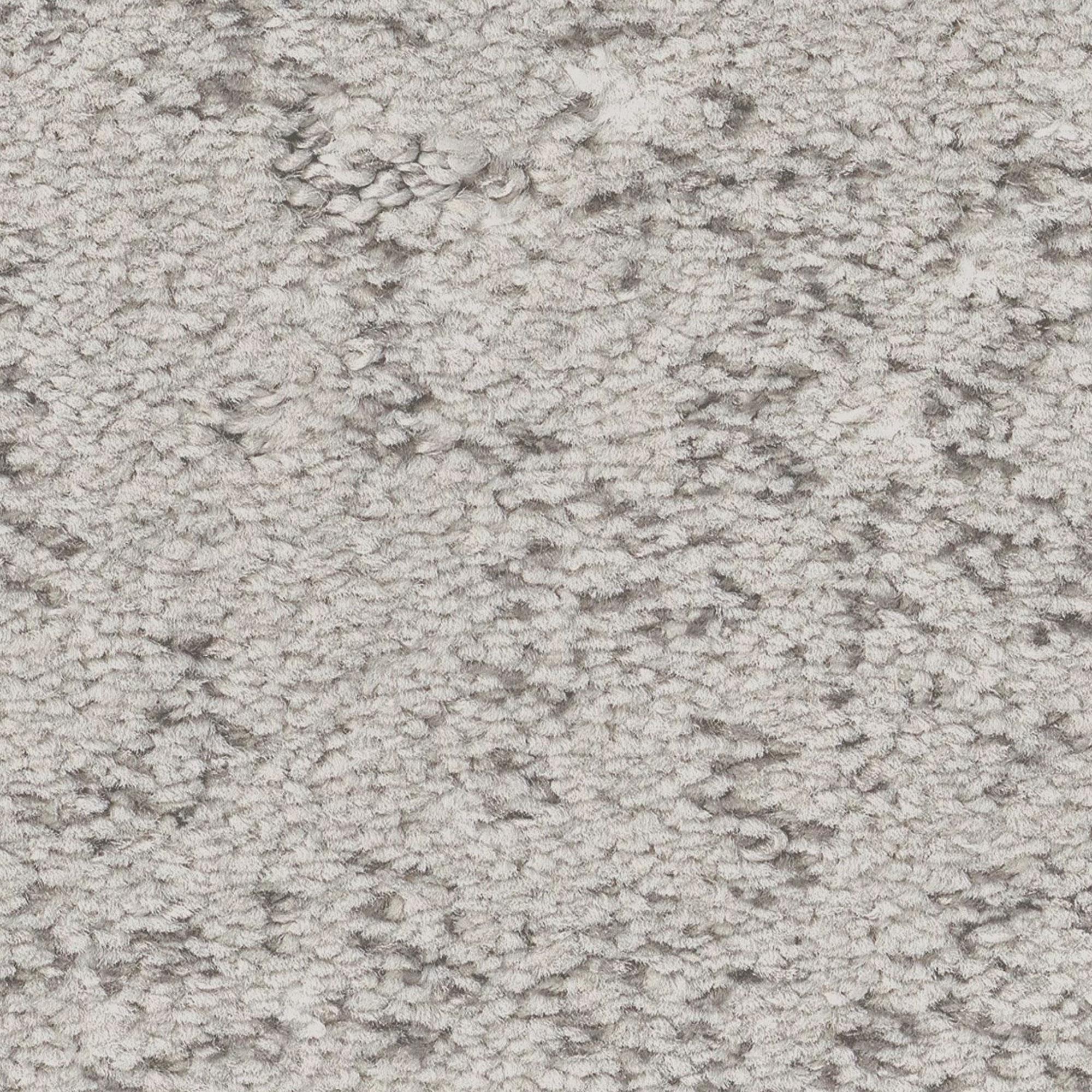 Anderson Tuftex Fancy That Carpet in Gray Owl NFM