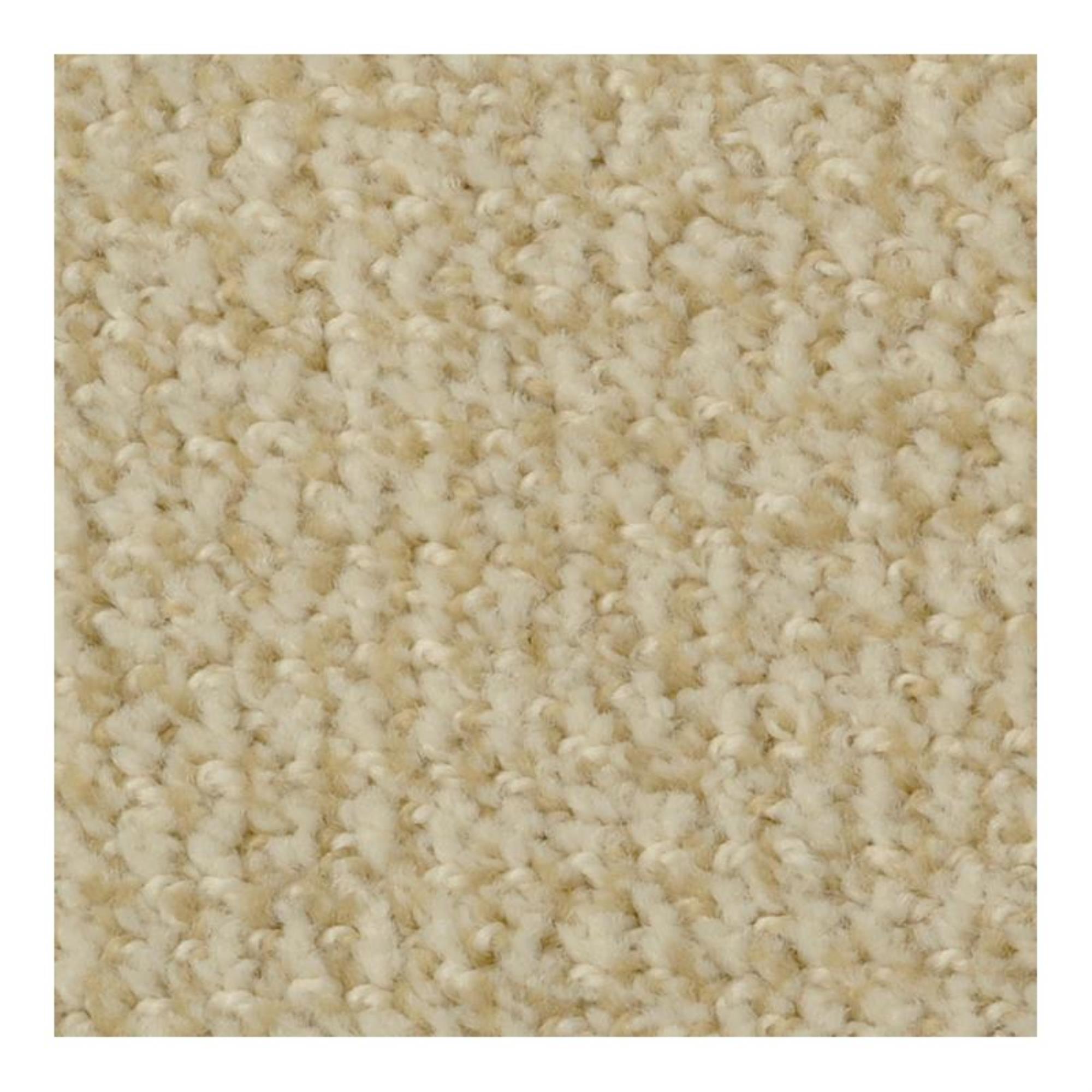 Dixie Home Confident Choice Carpet in First Light Nebraska Furniture Mart