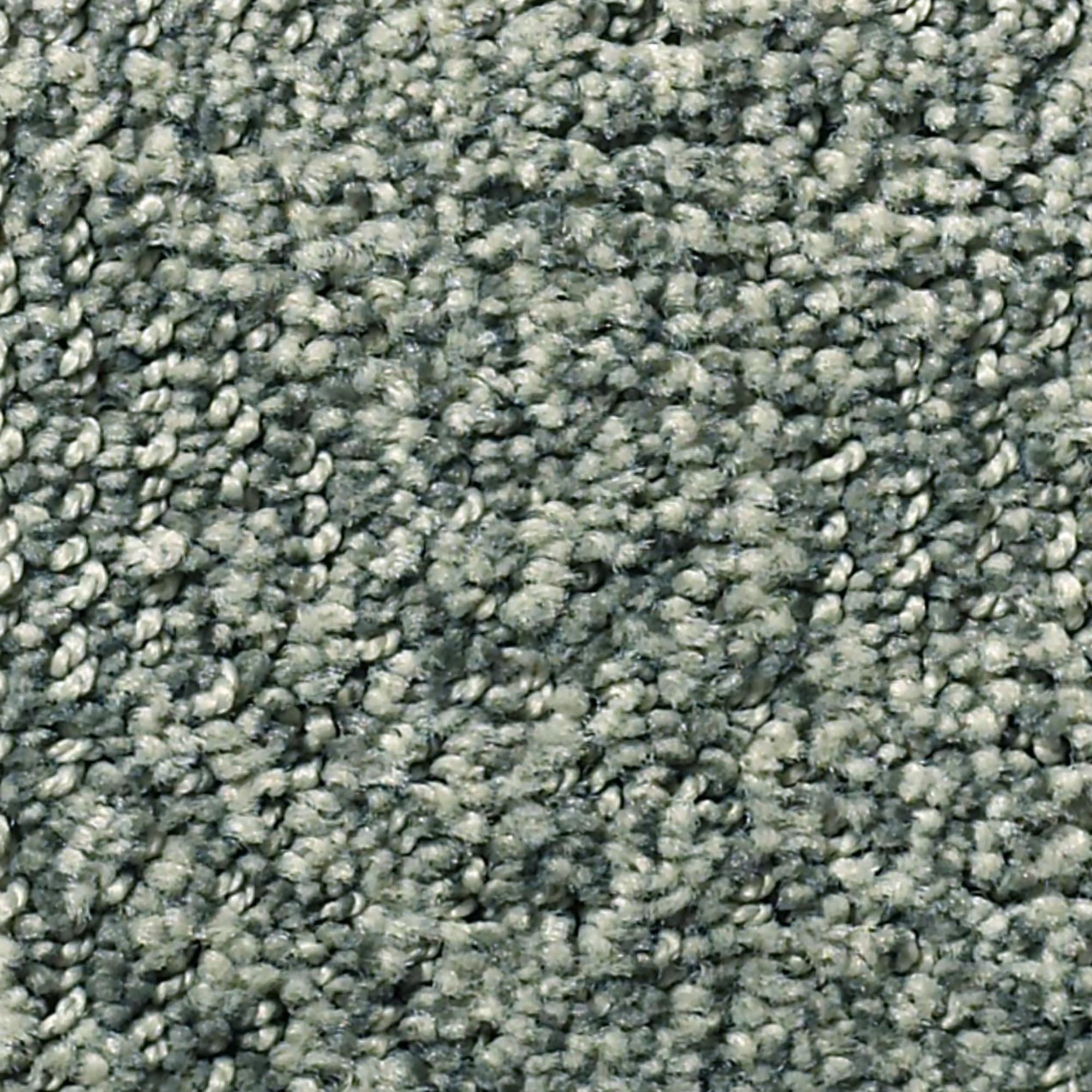 Anderson Tuftex Luna Carpet in Scenic Drive NFM