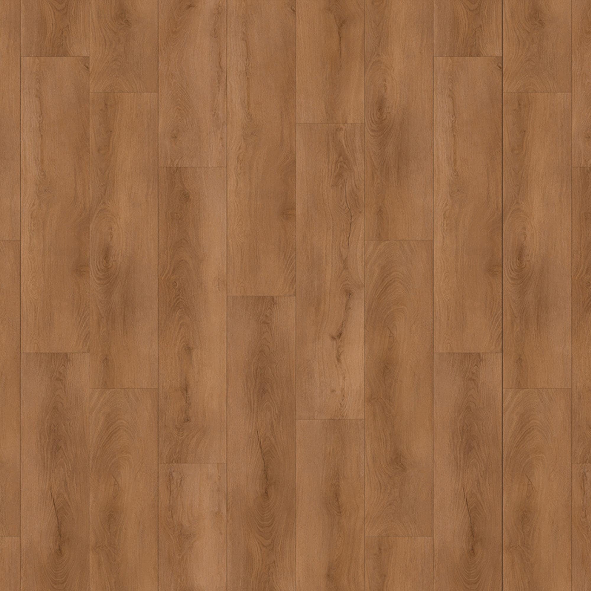 All Surfaces Versacore Grande 10 Van Cortland 10