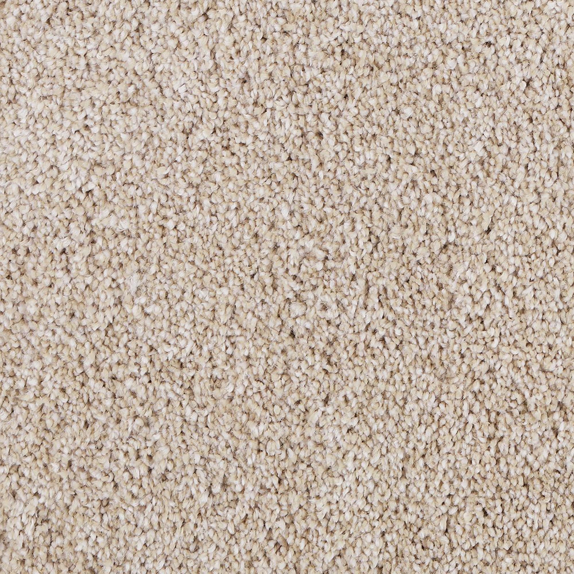 Mohawk Delicate Tones II Carpet in Harmonious NFM