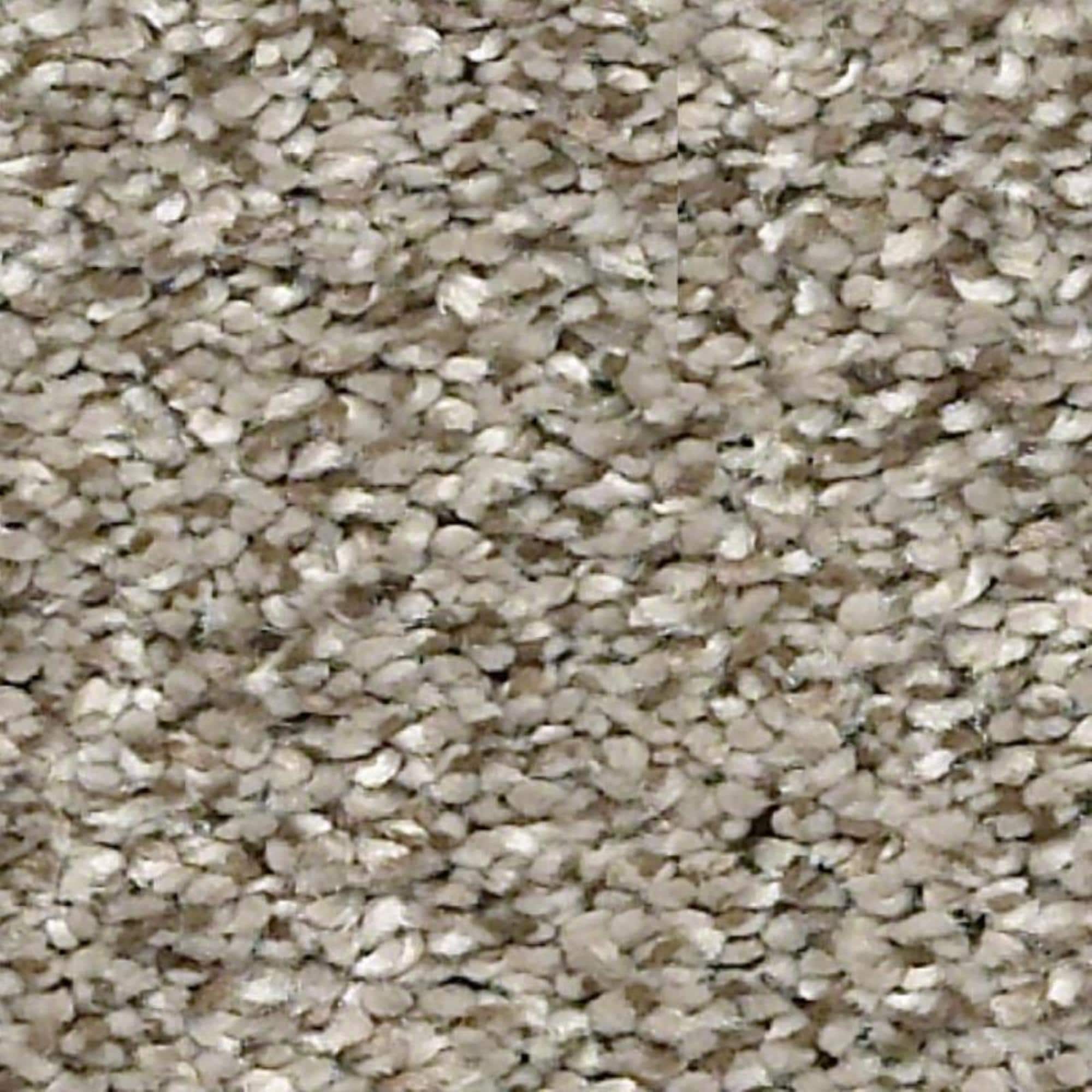 Shaw Points of Color I Carpet in Oatmeal NFM