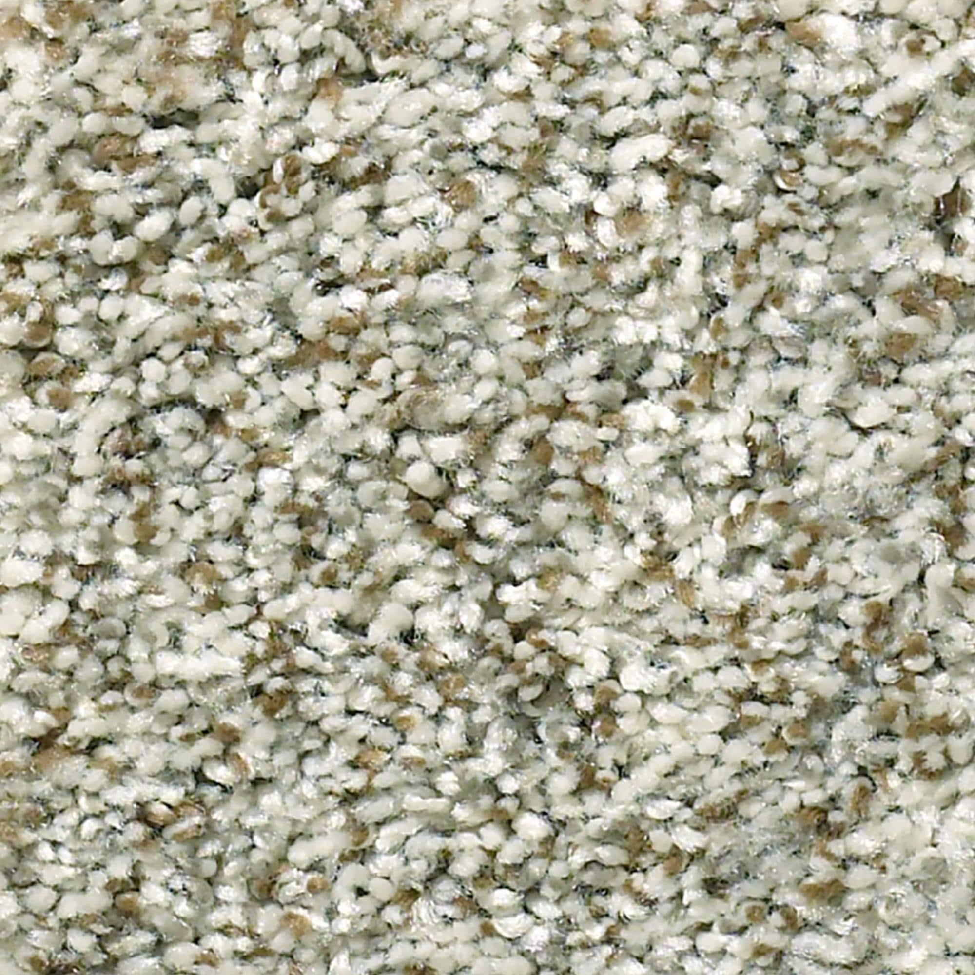 Philadelphia Simply the Best Cabana Life Carpet in Seashell NFM