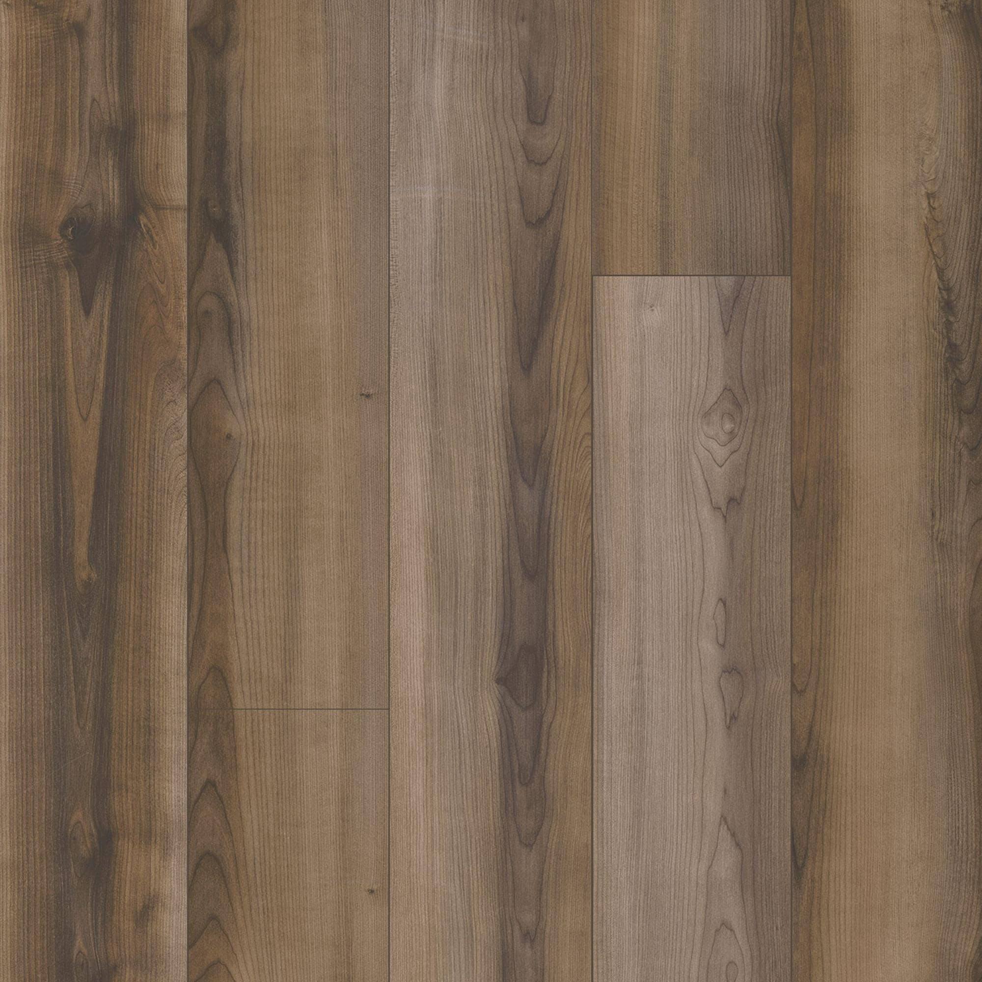 Karastan Treasured Grove Umber 7