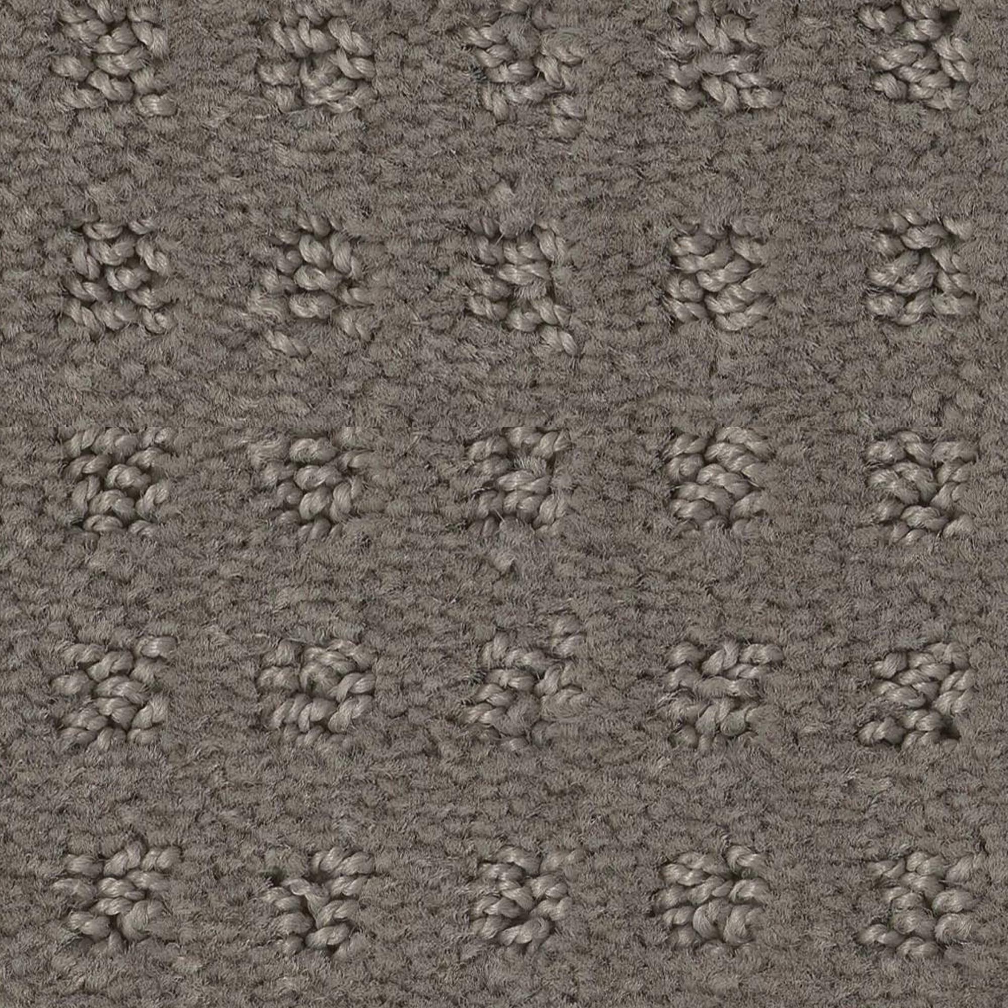Anderson Tuftex West Coast Carpet in Still Gray NFM