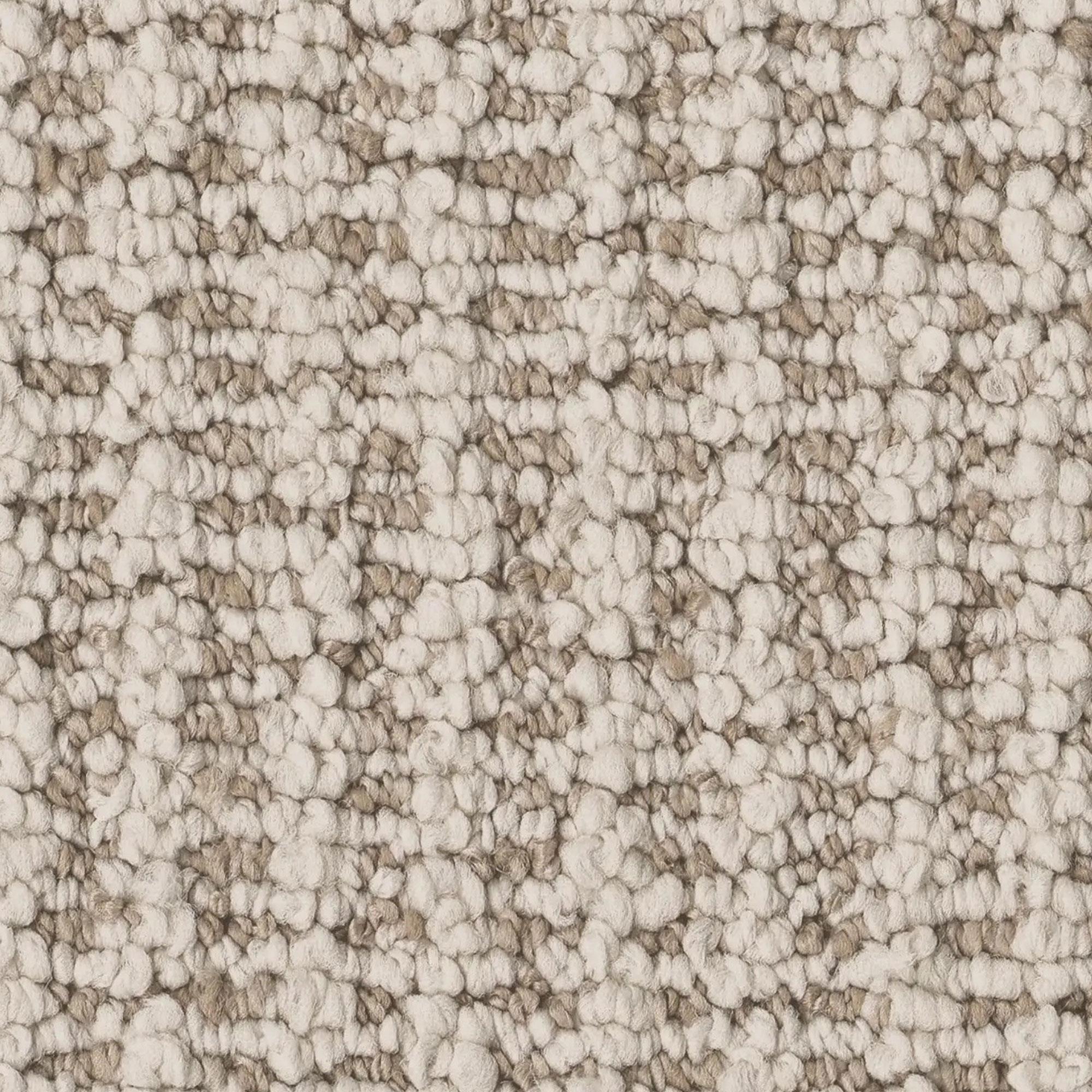 Anderson Tuftex Laine Carpet in Sand Dollar