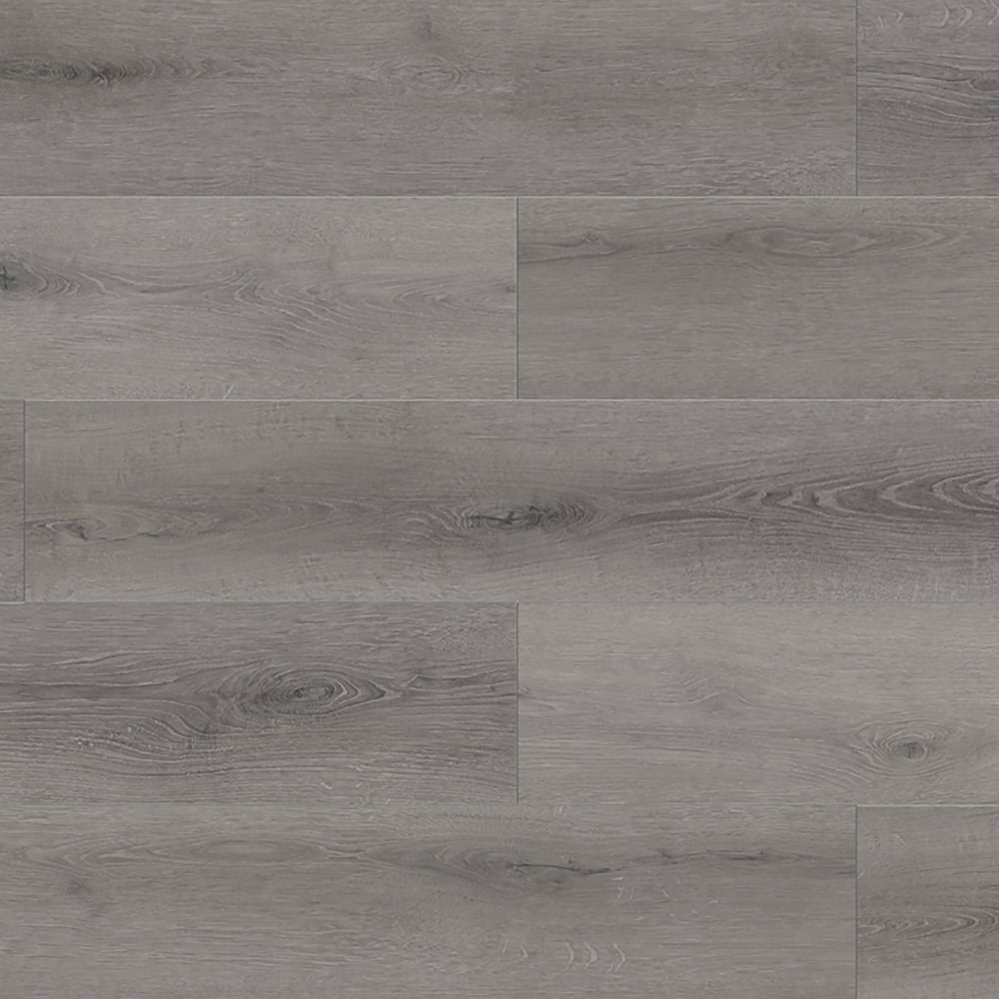Lions Floor Bambino Monogram 7
