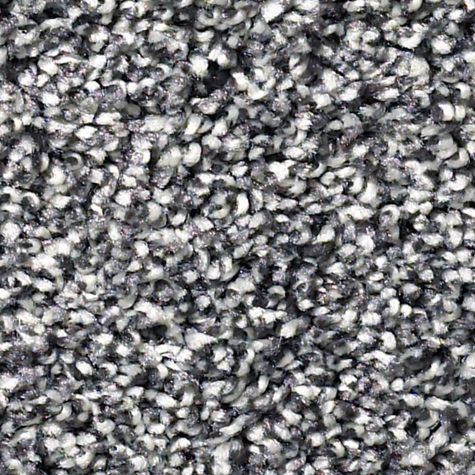 Philadelphia Simply the Best All About It Carpet in Forever Denim NFM