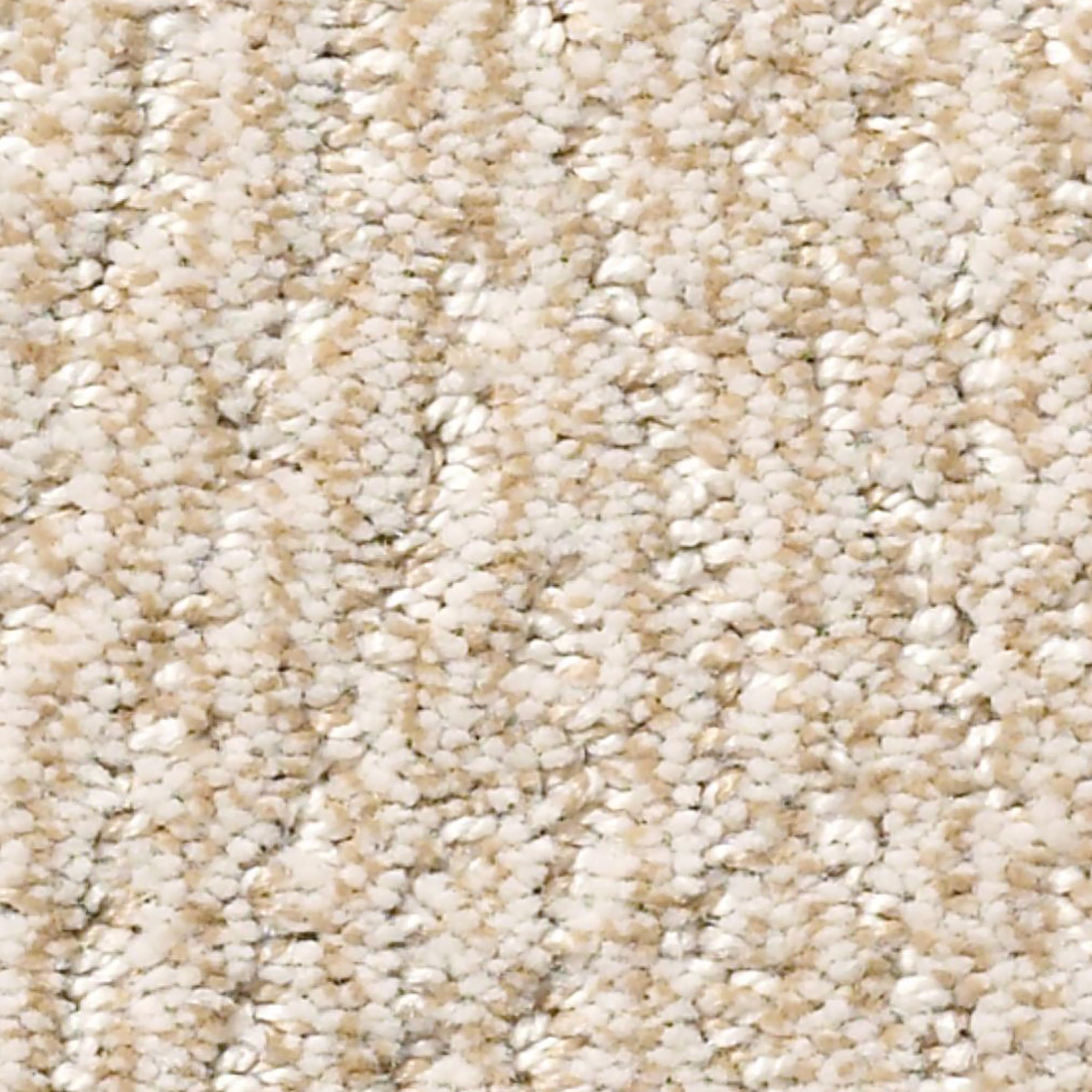 Anderson Tuftex FurEver Carpet in Old Country NFM