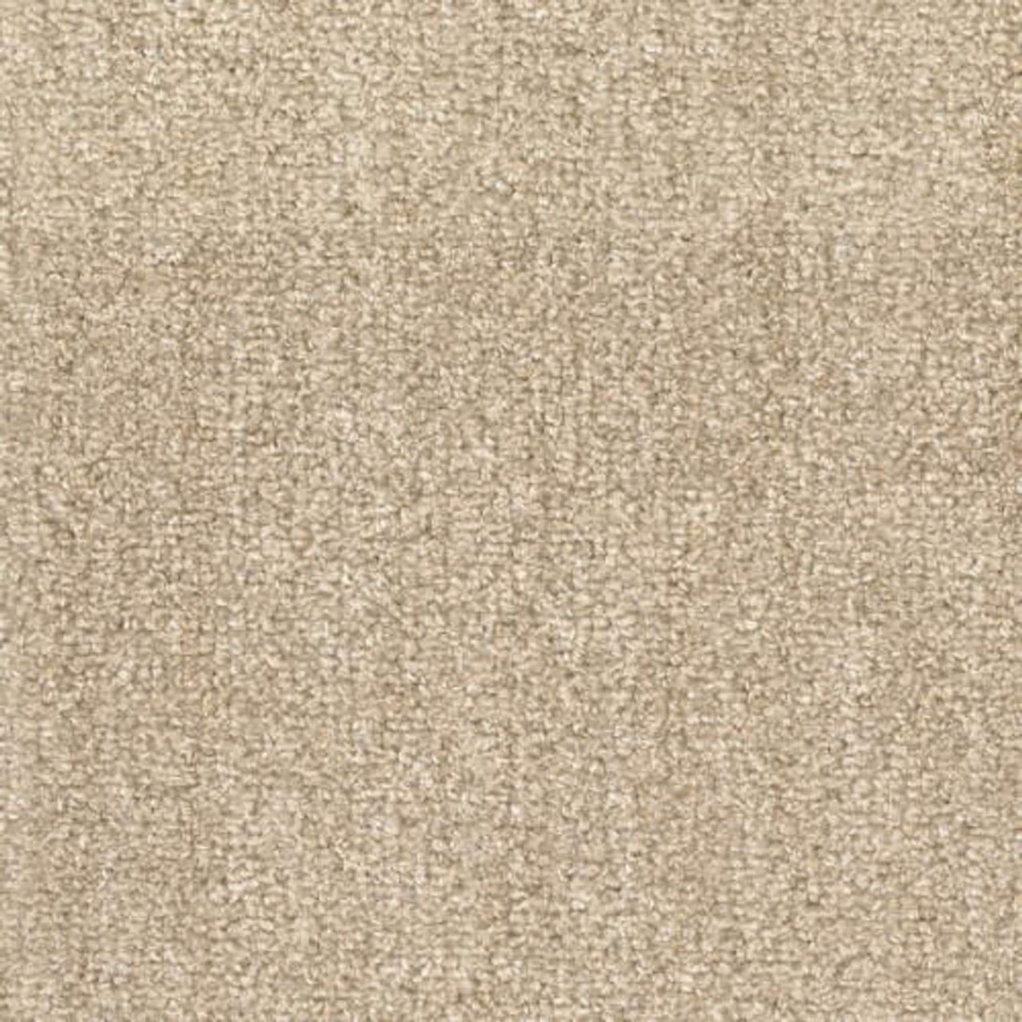 Fabrica Tundra Carpet in Bighorn NFM