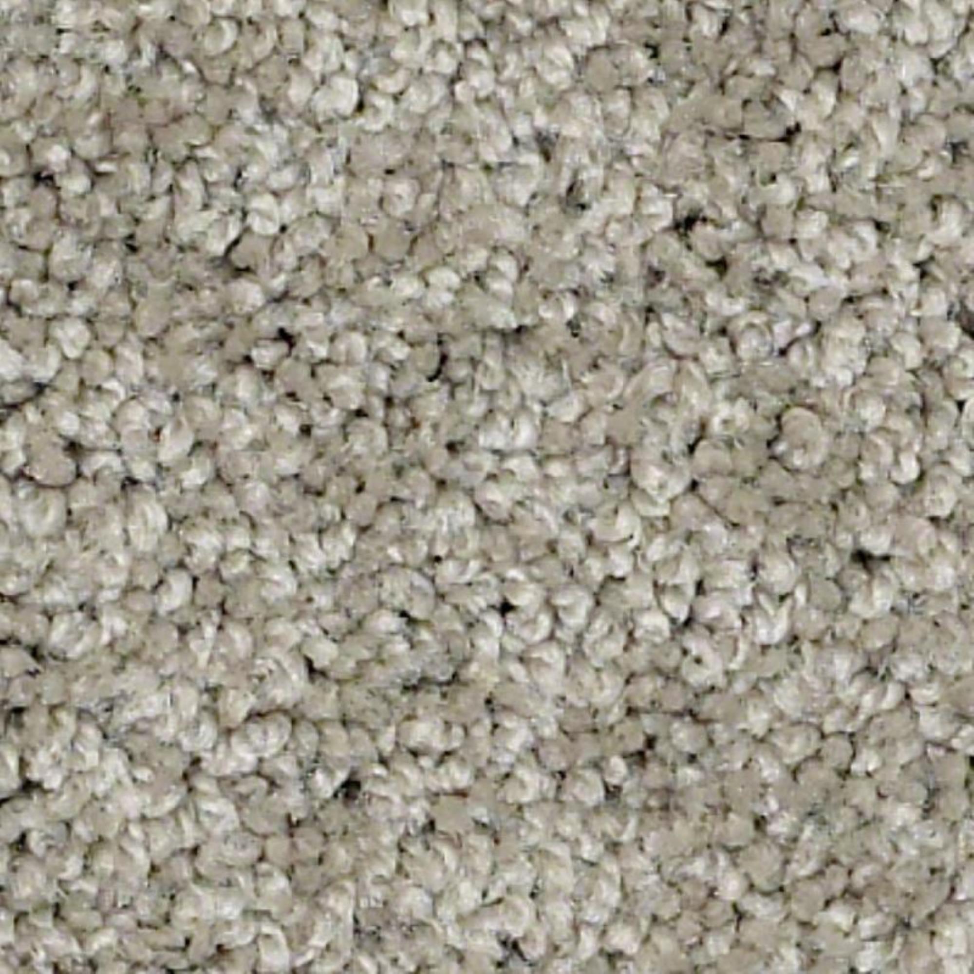 Shaw Keen Senses II Carpet in Mocha Shop NFM