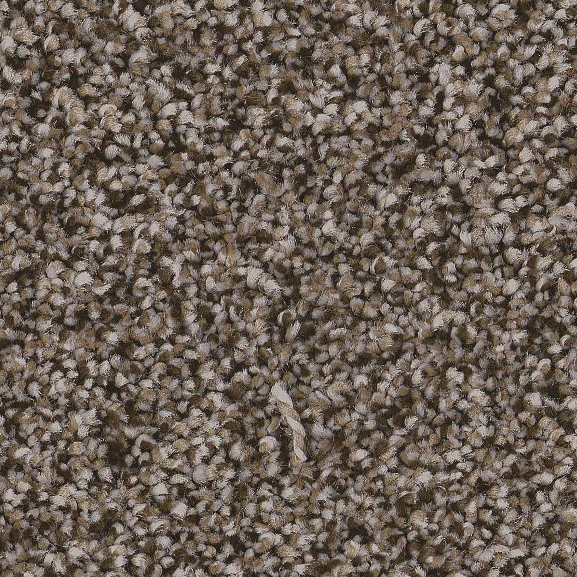 Anderson Tuftex Kaleidoscope Carpet in Open Range