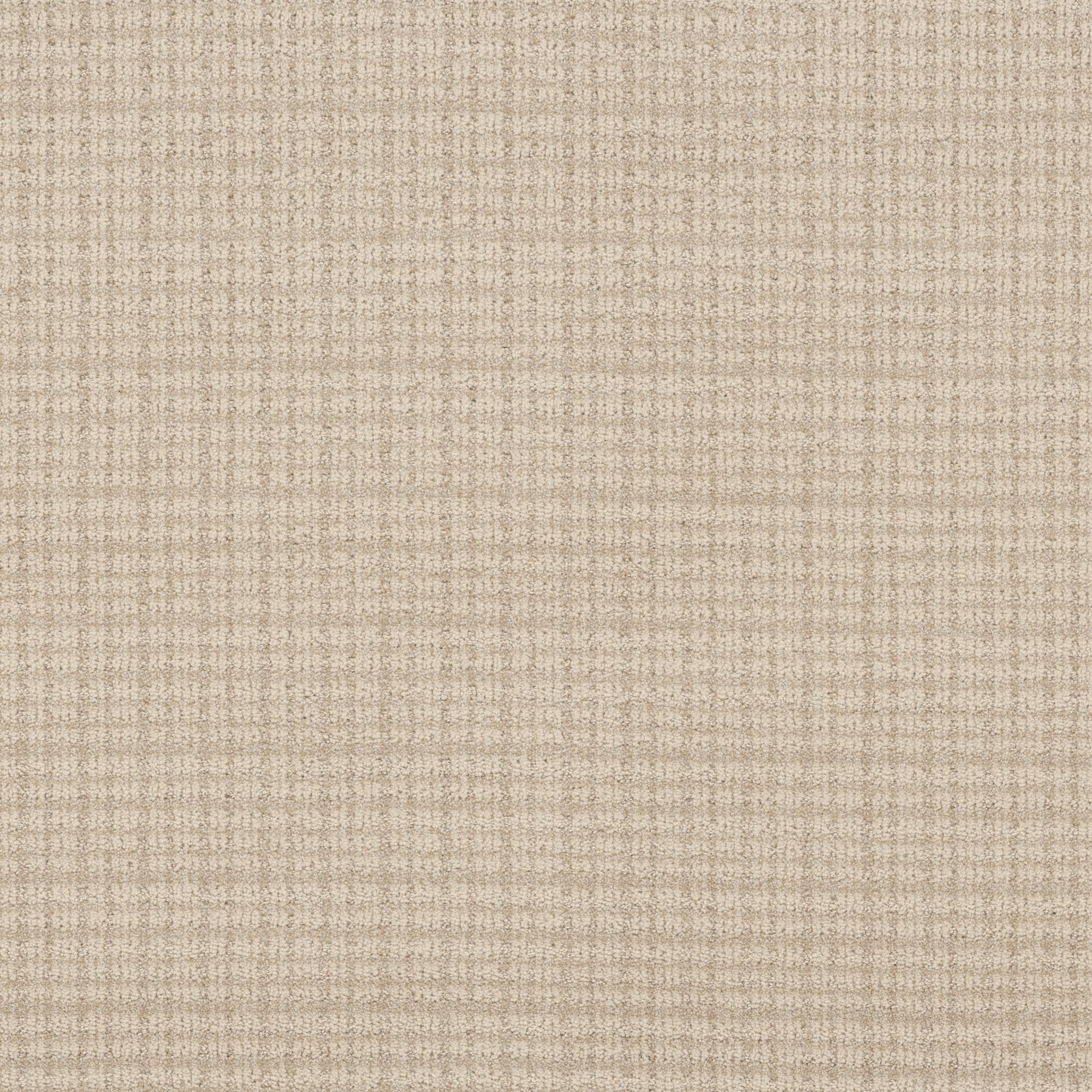 Anderson Tuftex Radiance Carpet in Arctic Hare