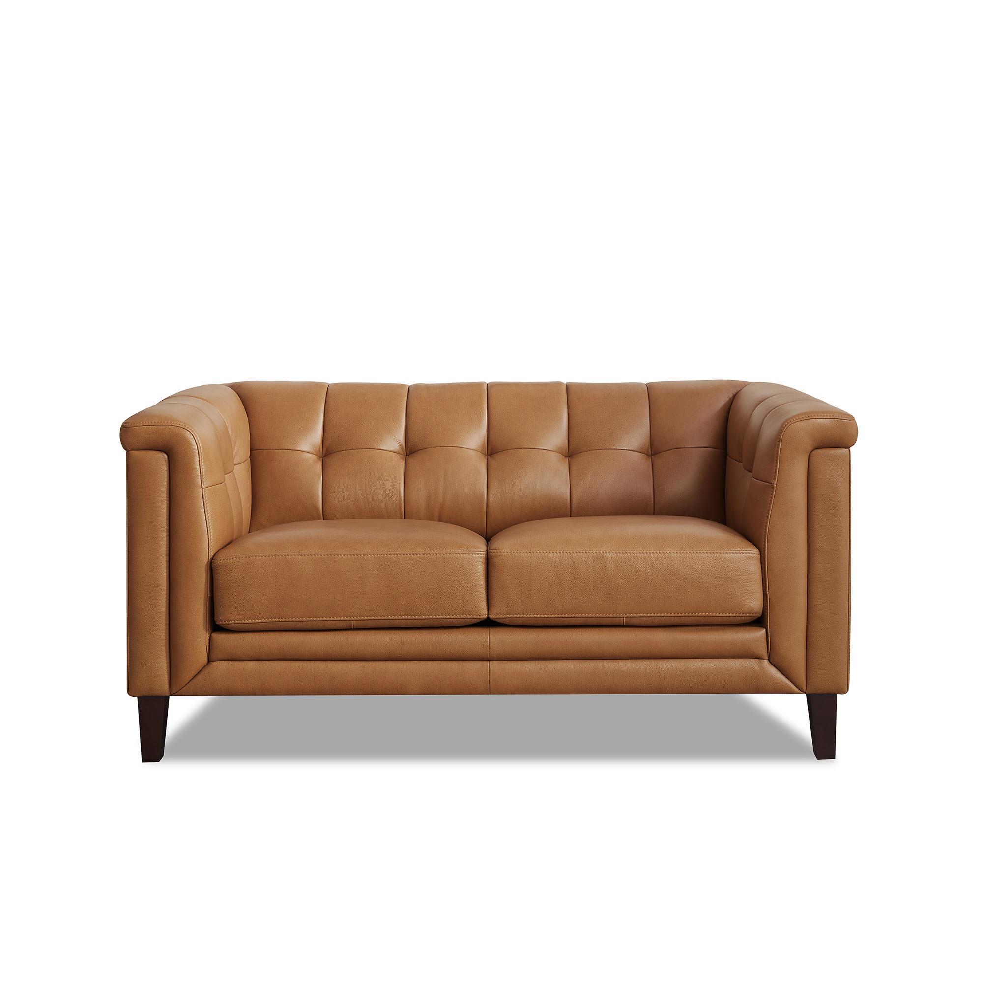 Hydeline Arvo Stationary Leather Loveseat in Cognac Brown