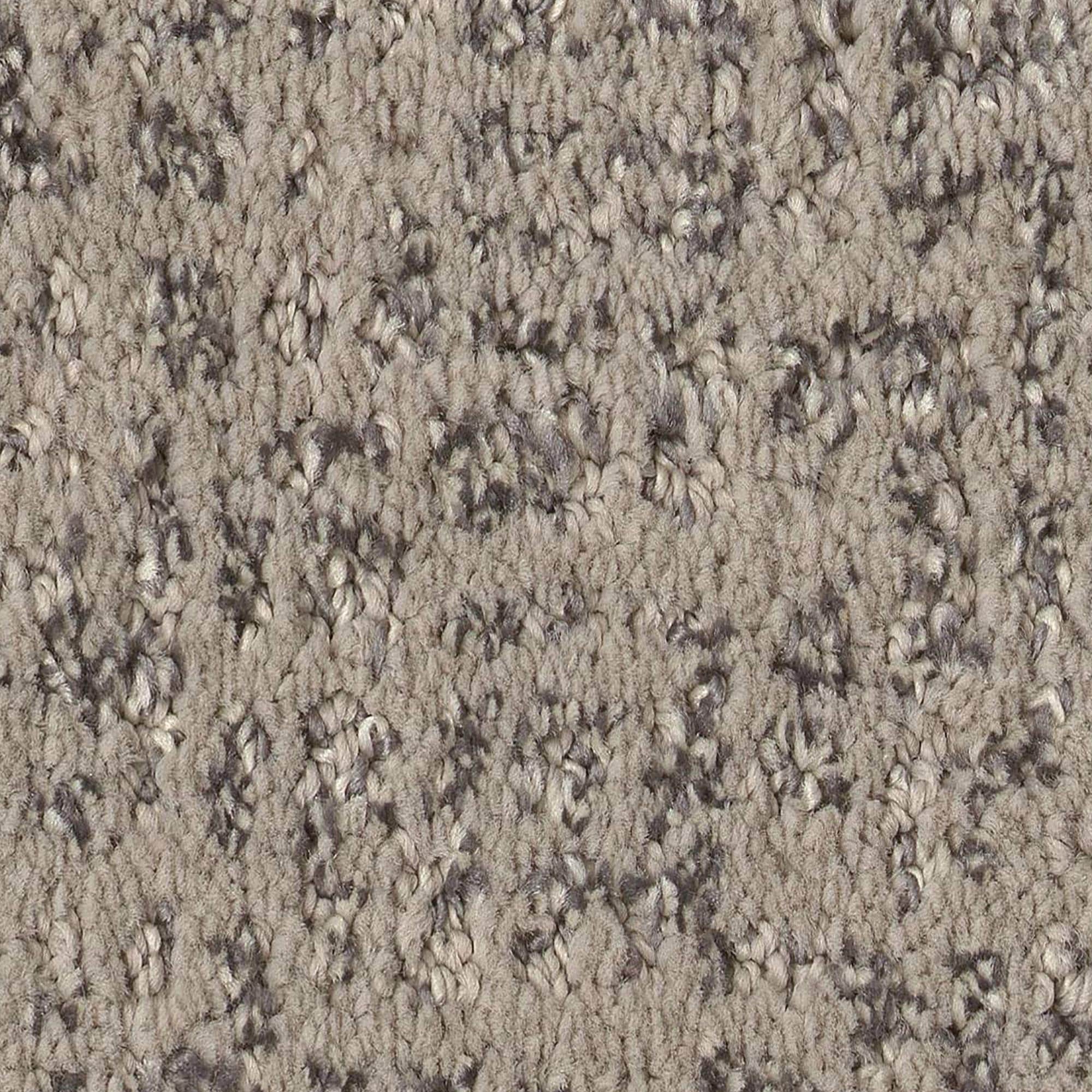 Anderson Tuftex Caboodle Carpet in Grounded NFM