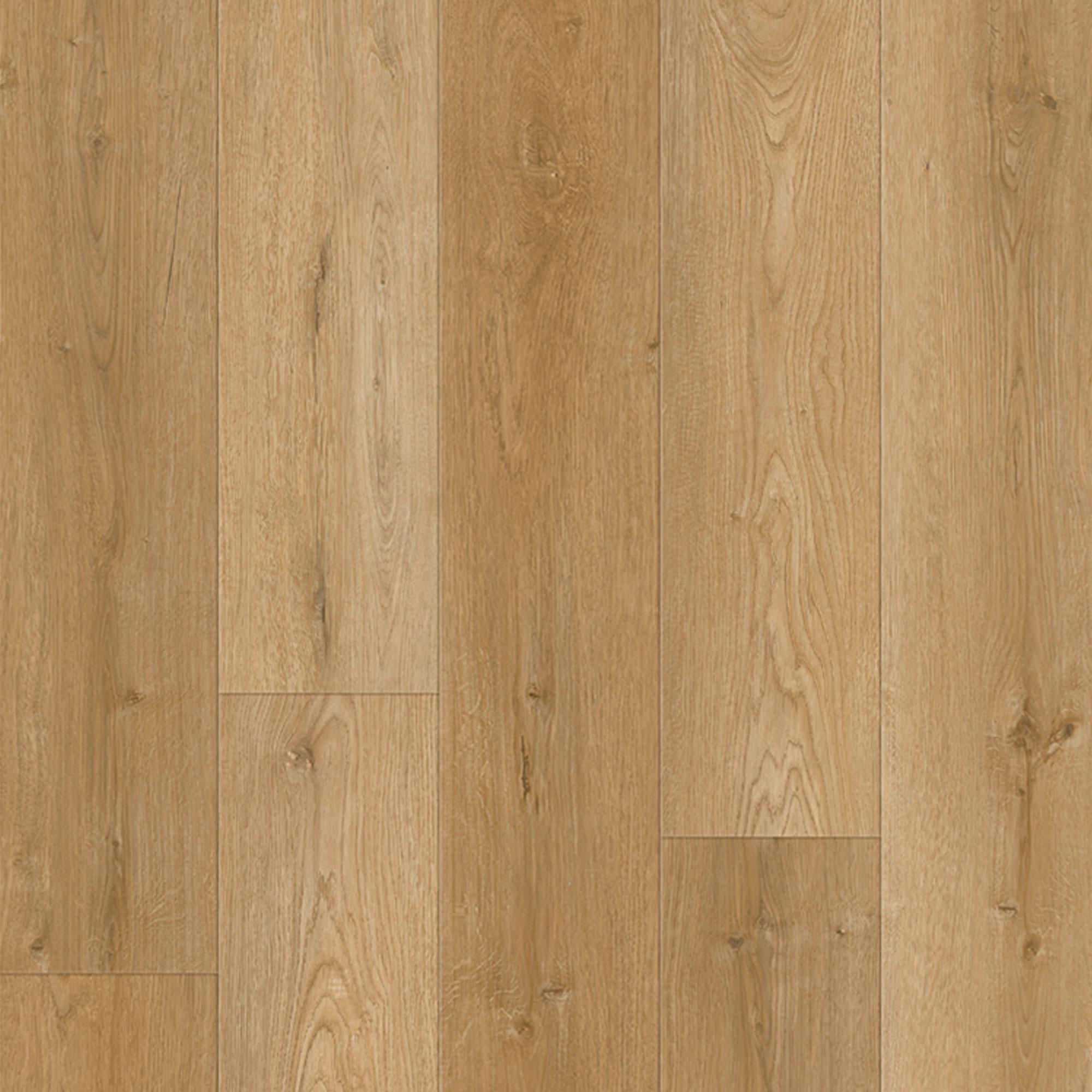 Reeページ Lions Floor District Pro Murrieta 7