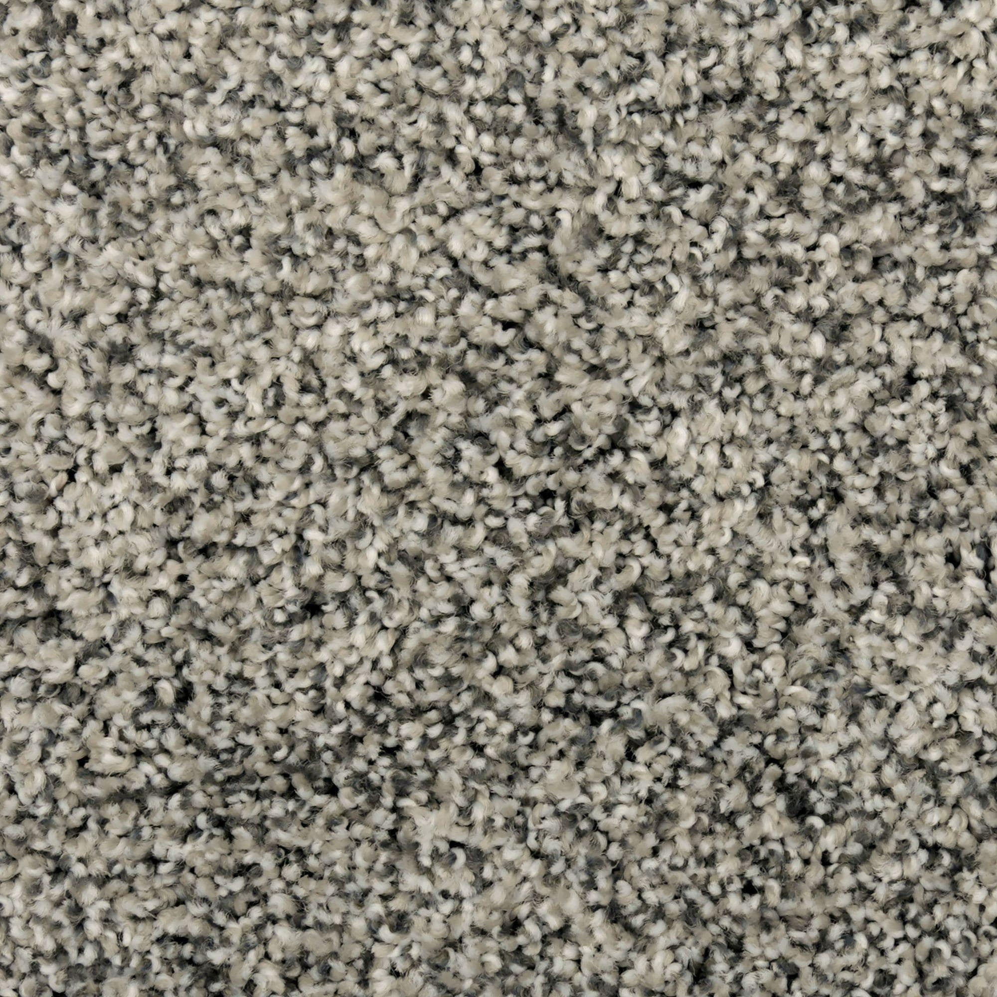 Karastan Fascinating Glamour Carpet in Urban Sunrise Shop NFM