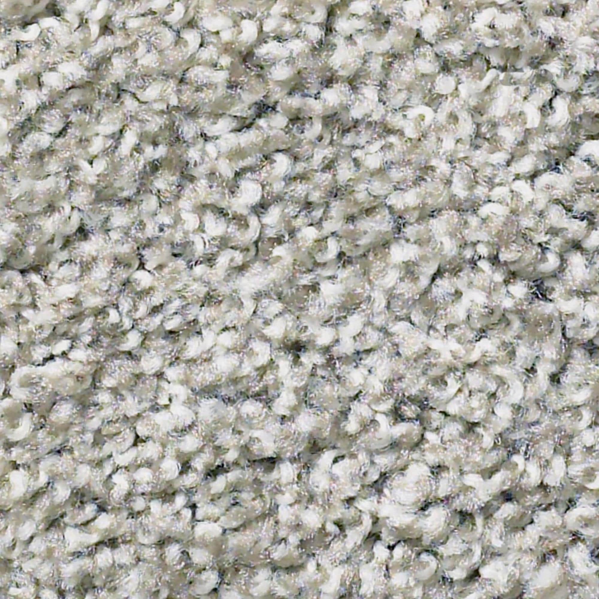 Philadelphia Balanced Carpet in Great Greige NFM