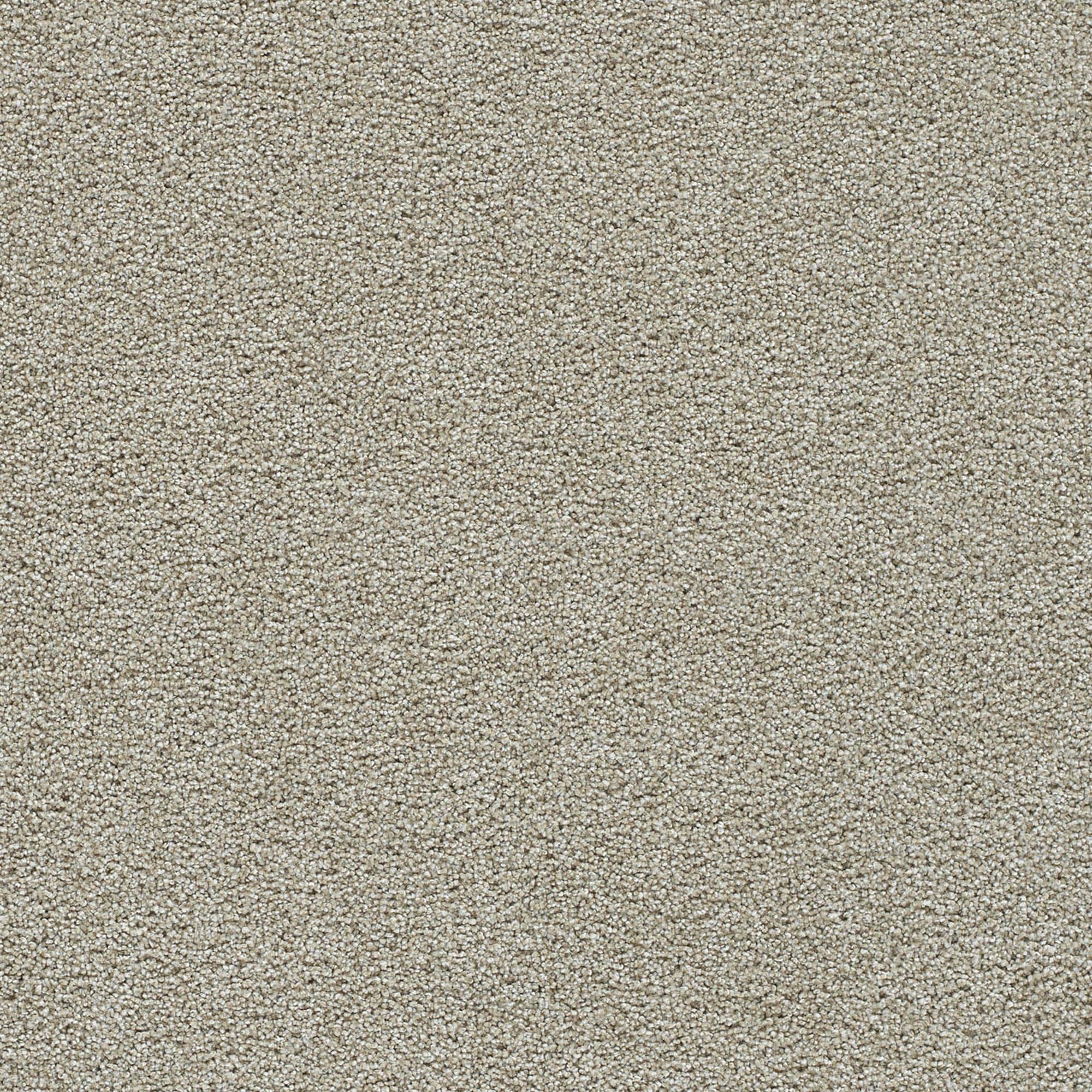 Dream Weaver Clear Skies I Carpet in Pale Oak