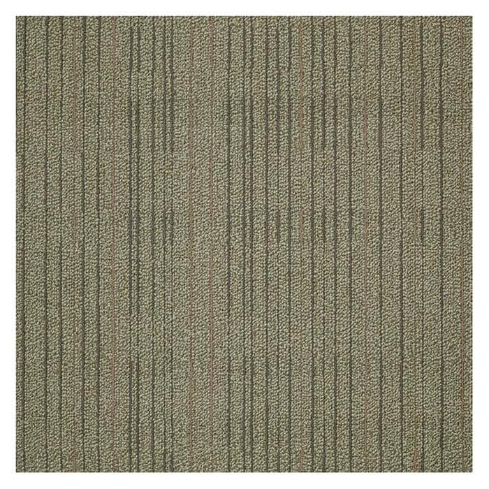 Shaw Immerse 24" x 24" Carpet Tile in Think Hard NFM