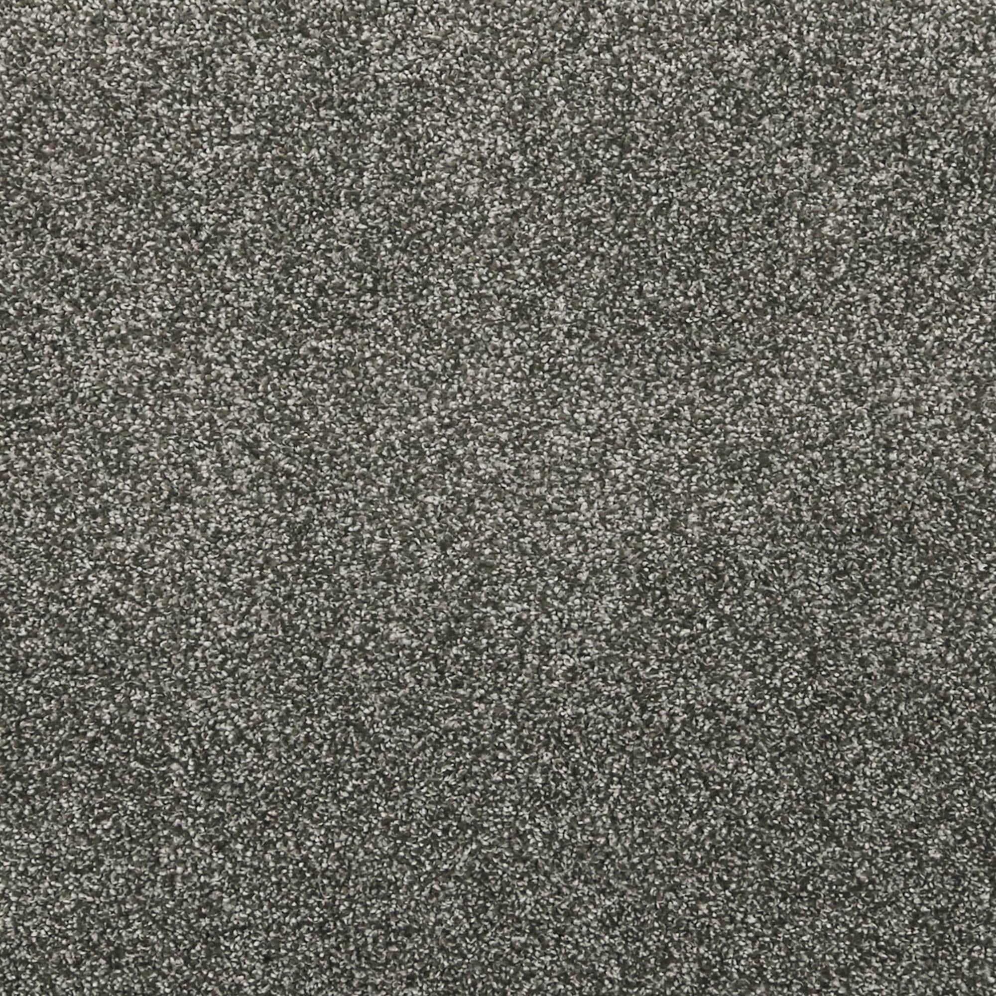Mohawk Luxuriant Feel Carpet in Ice Fox