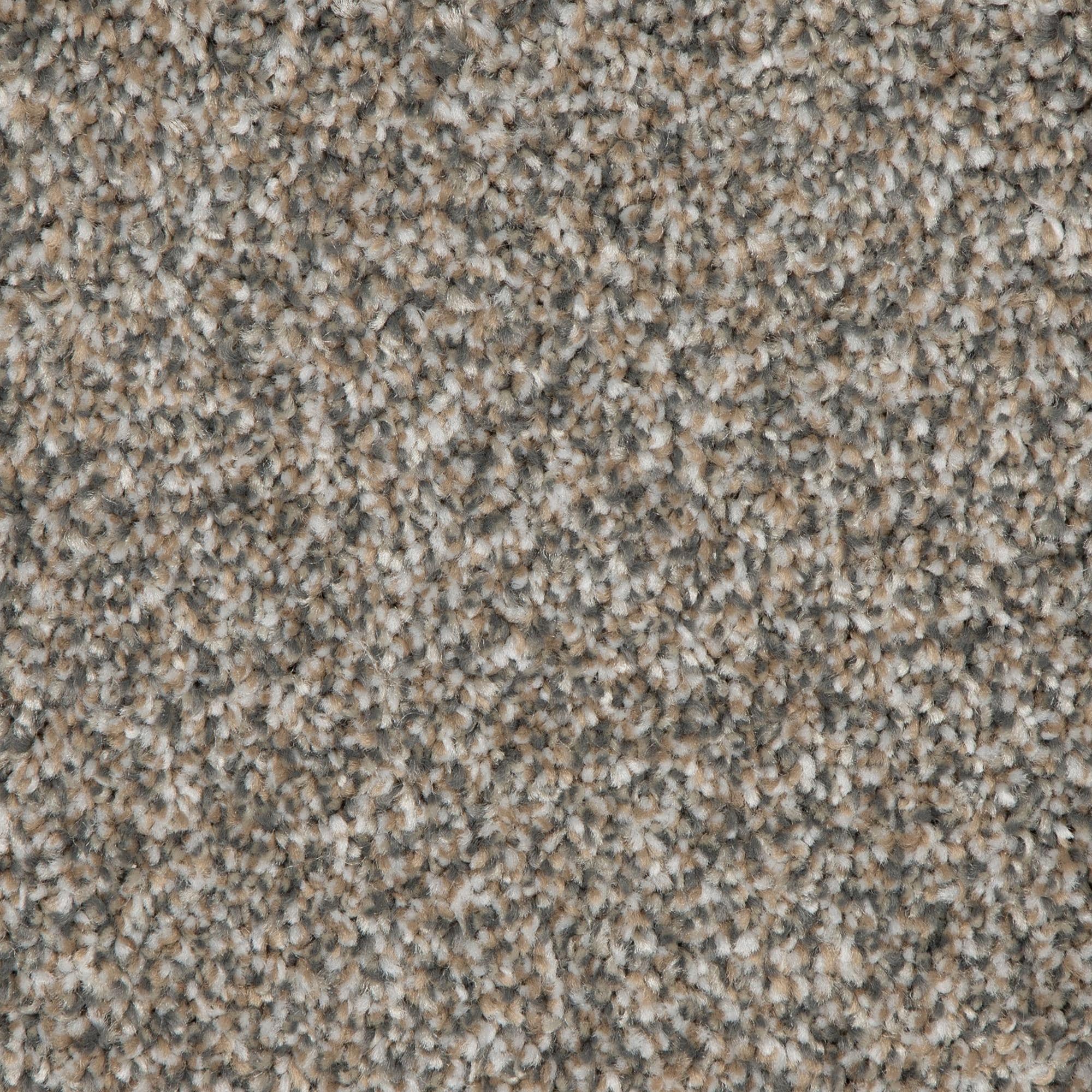 6394524-1.jpg