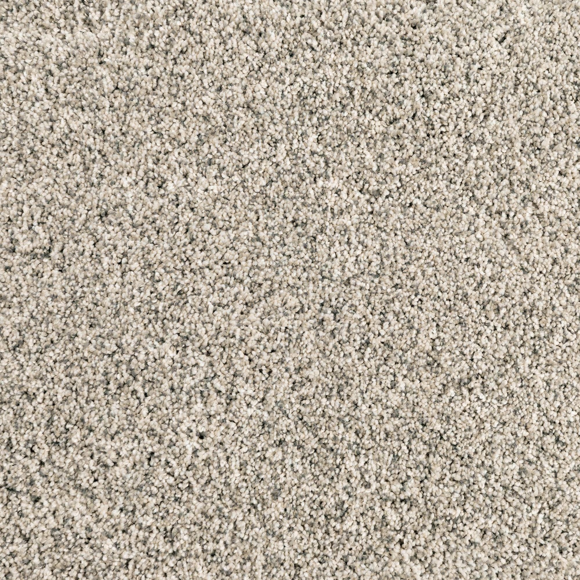 【新品・超希少】モスキートモールド Trap-II トラップ2 クレイモア Mohawk Assorted Elements II Carpet in Silver Dollar