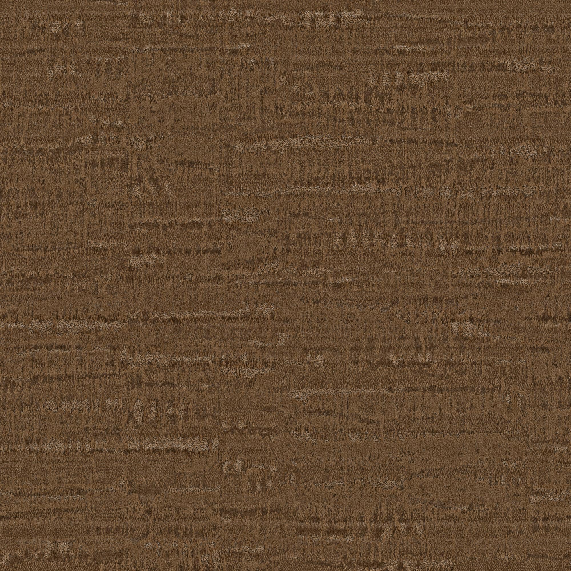 Anderson Tuftex Arbor Carpet in Chestnut