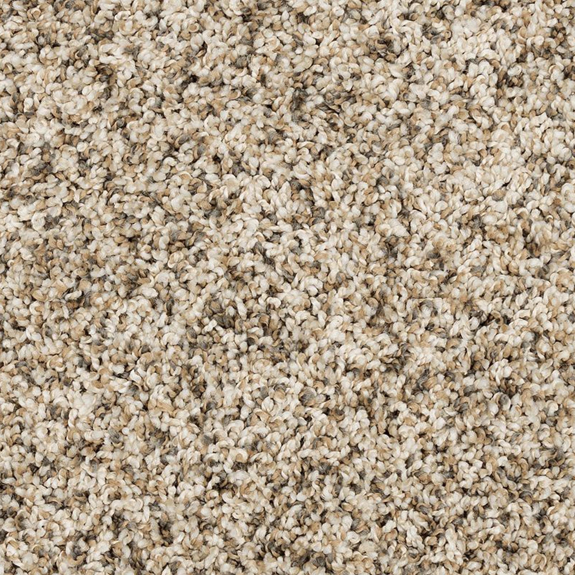 Mohawk Raise The Woof II Carpet in Frosty Spice