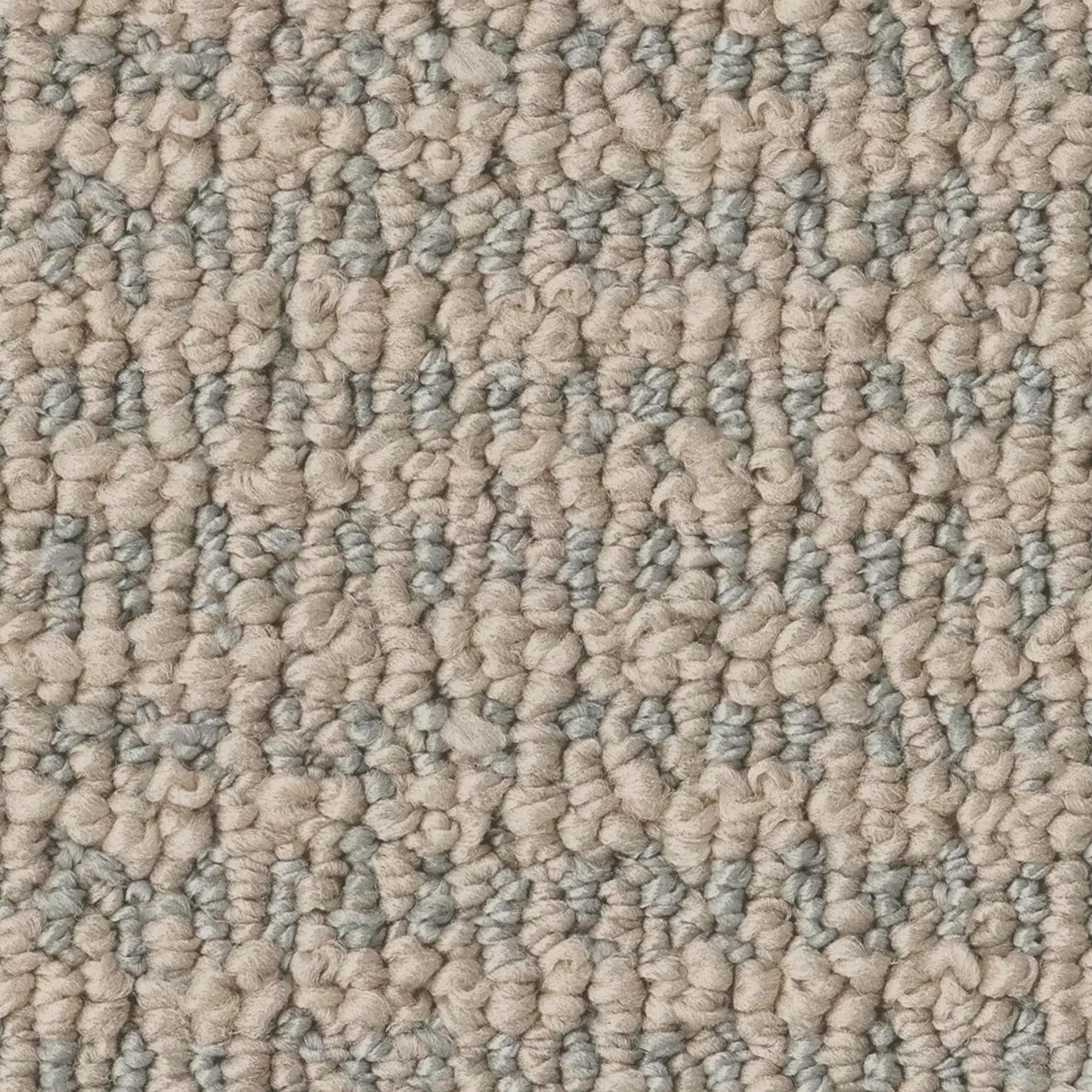 Anderson Tuftex Laine Carpet in Dockside