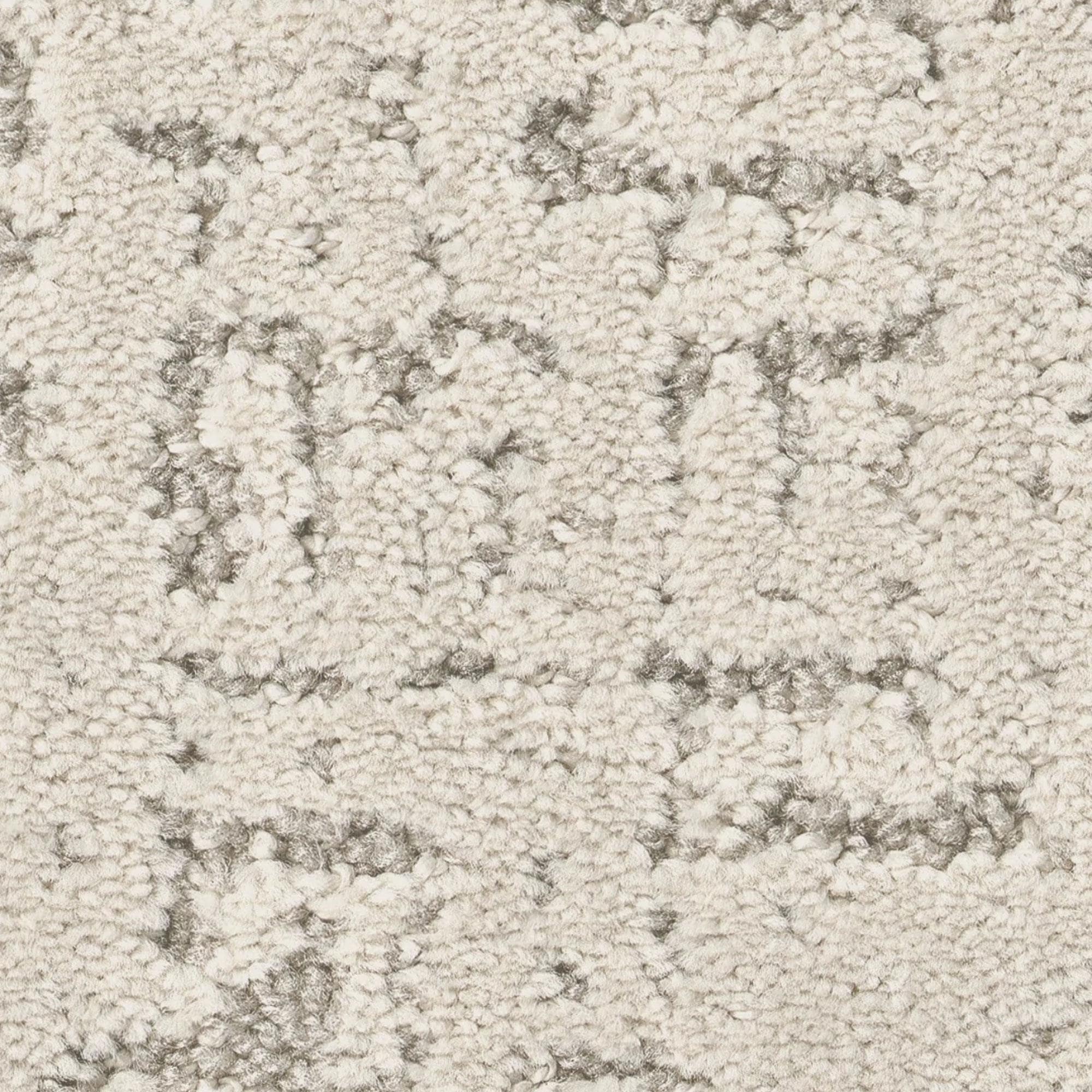 Anderson Tuftex Adair Carpet in Elegance