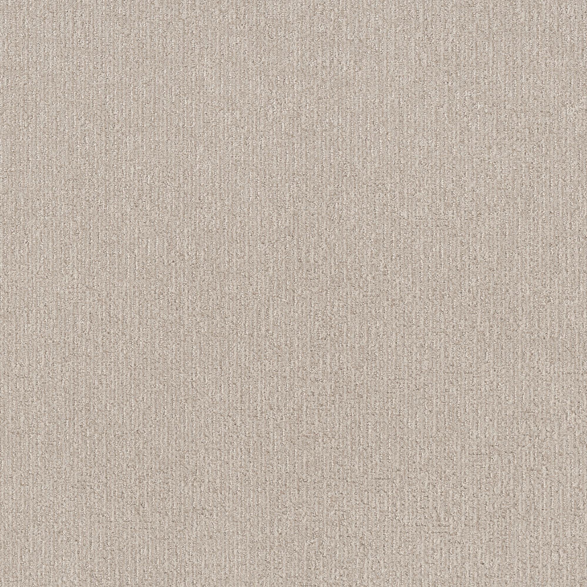 Shaw Clever Art Carpet in Subtle Clay