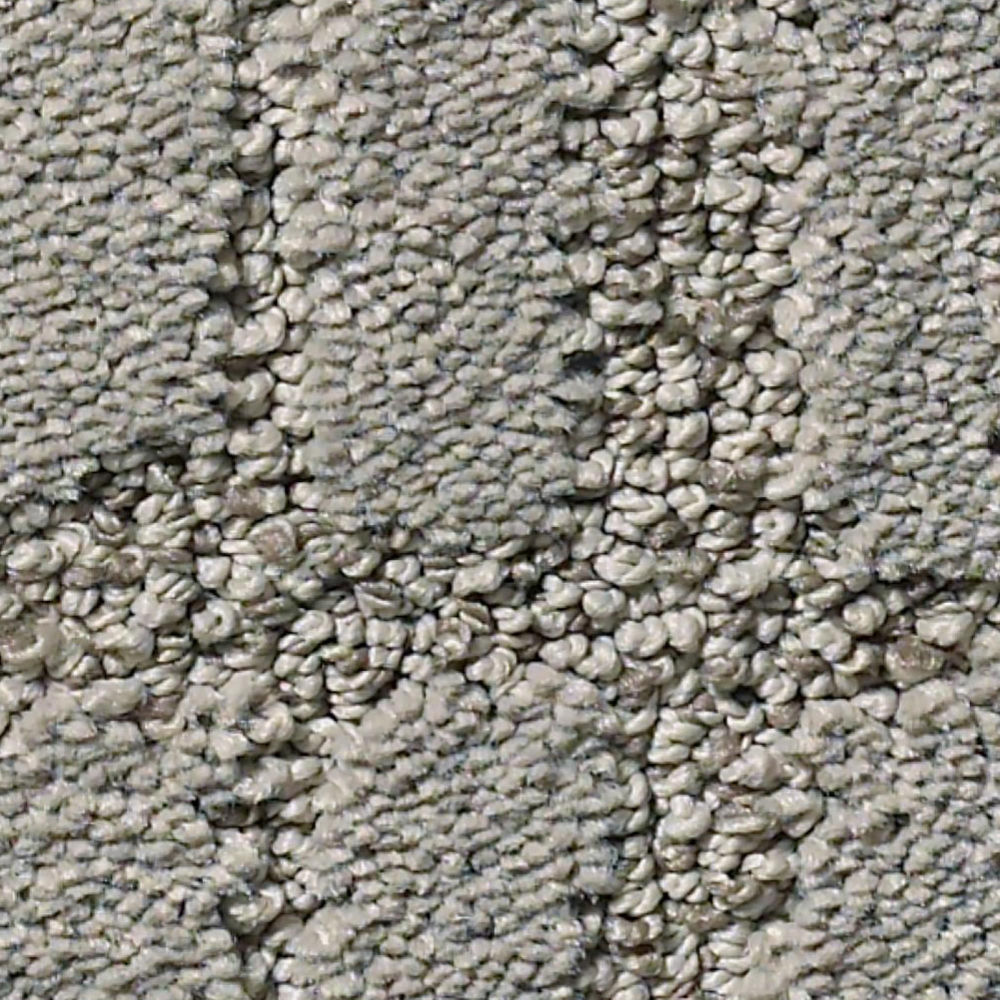 Philadelphia Caress Rustique Vibe Carpet in Shadow NFM