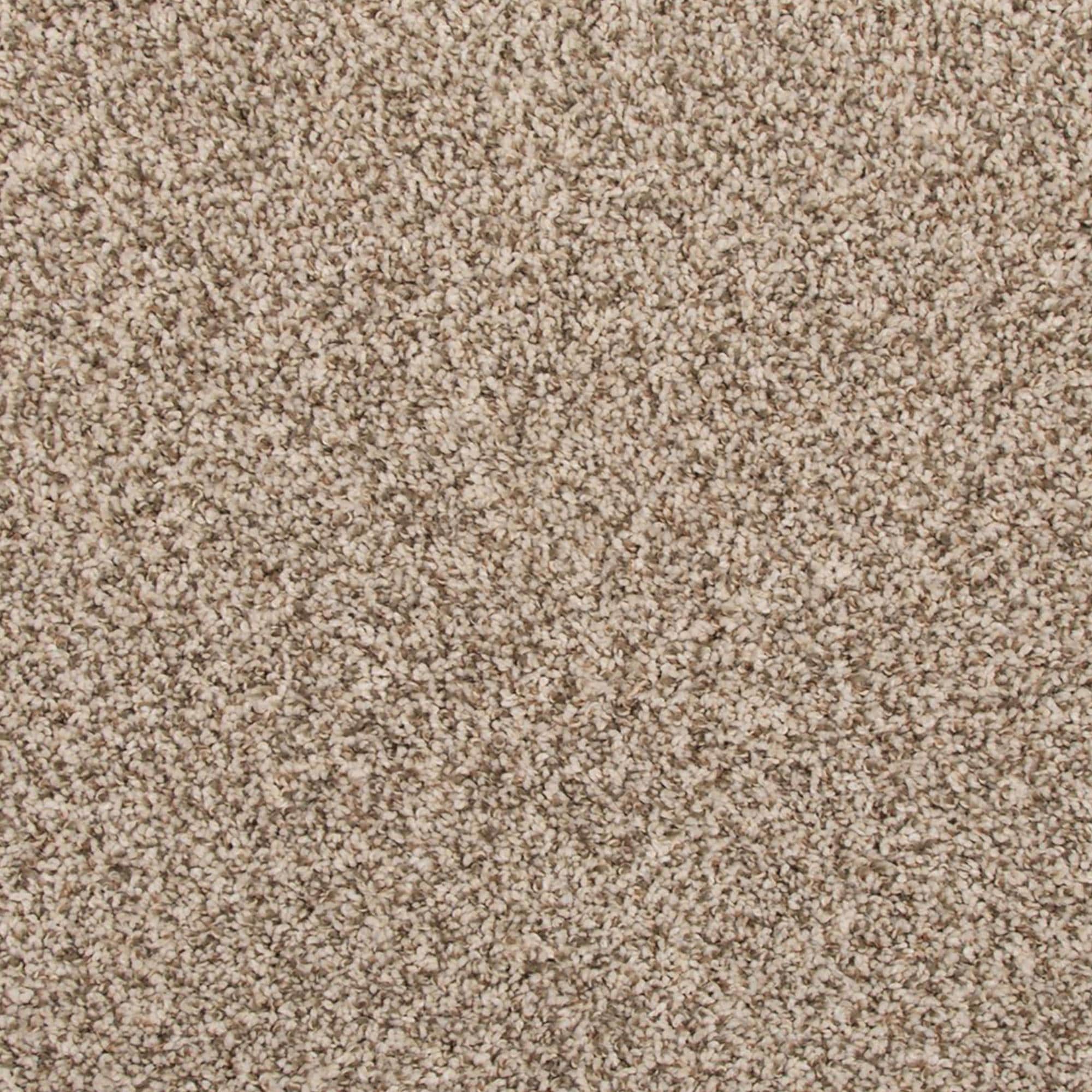 Mohawk Revive Carpet in Elk Beige Shop NFM