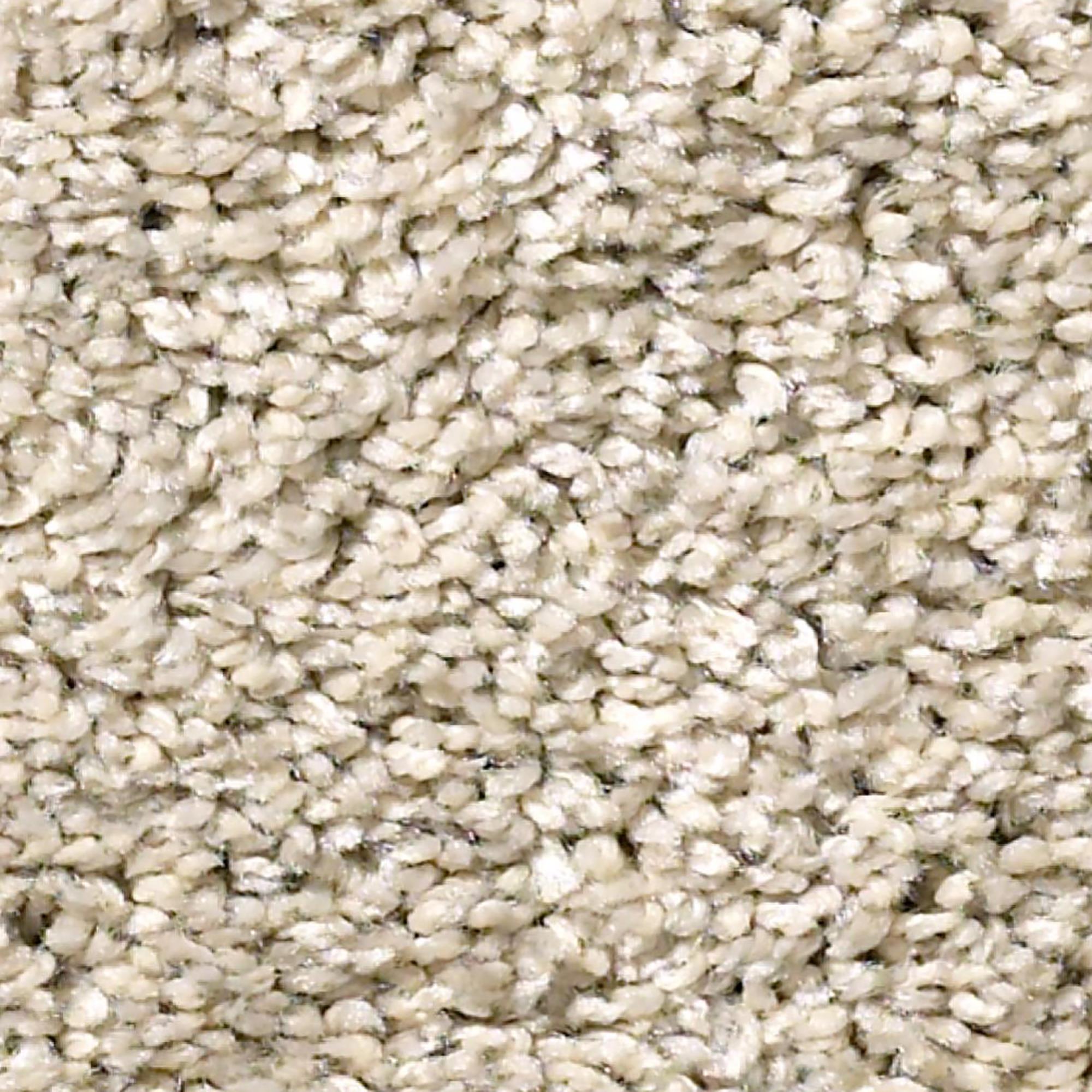 Philadelphia Simply the Best All About It Carpet in Antique White NFM