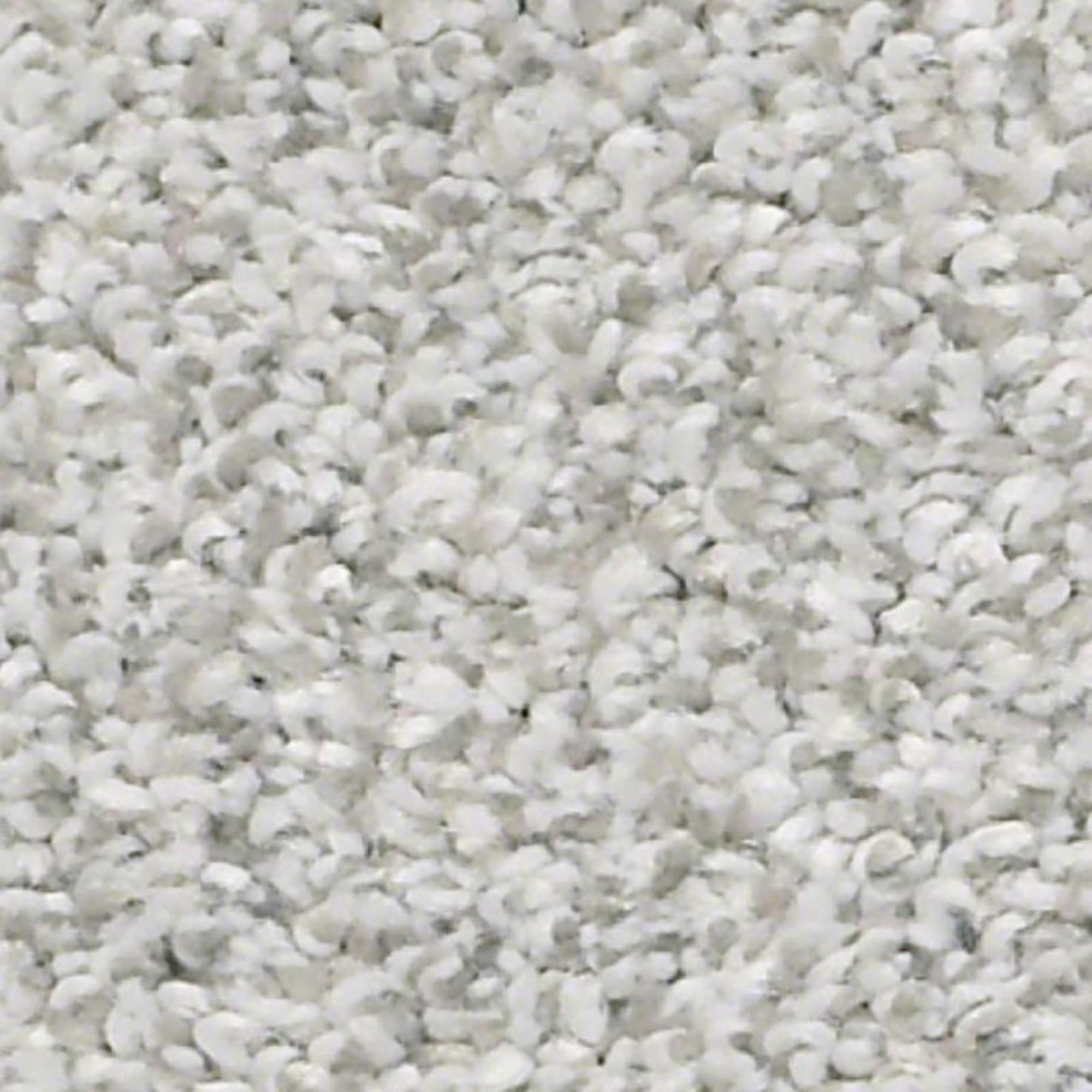 Shaw Just A Hint II Carpet in Mist Shop NFM