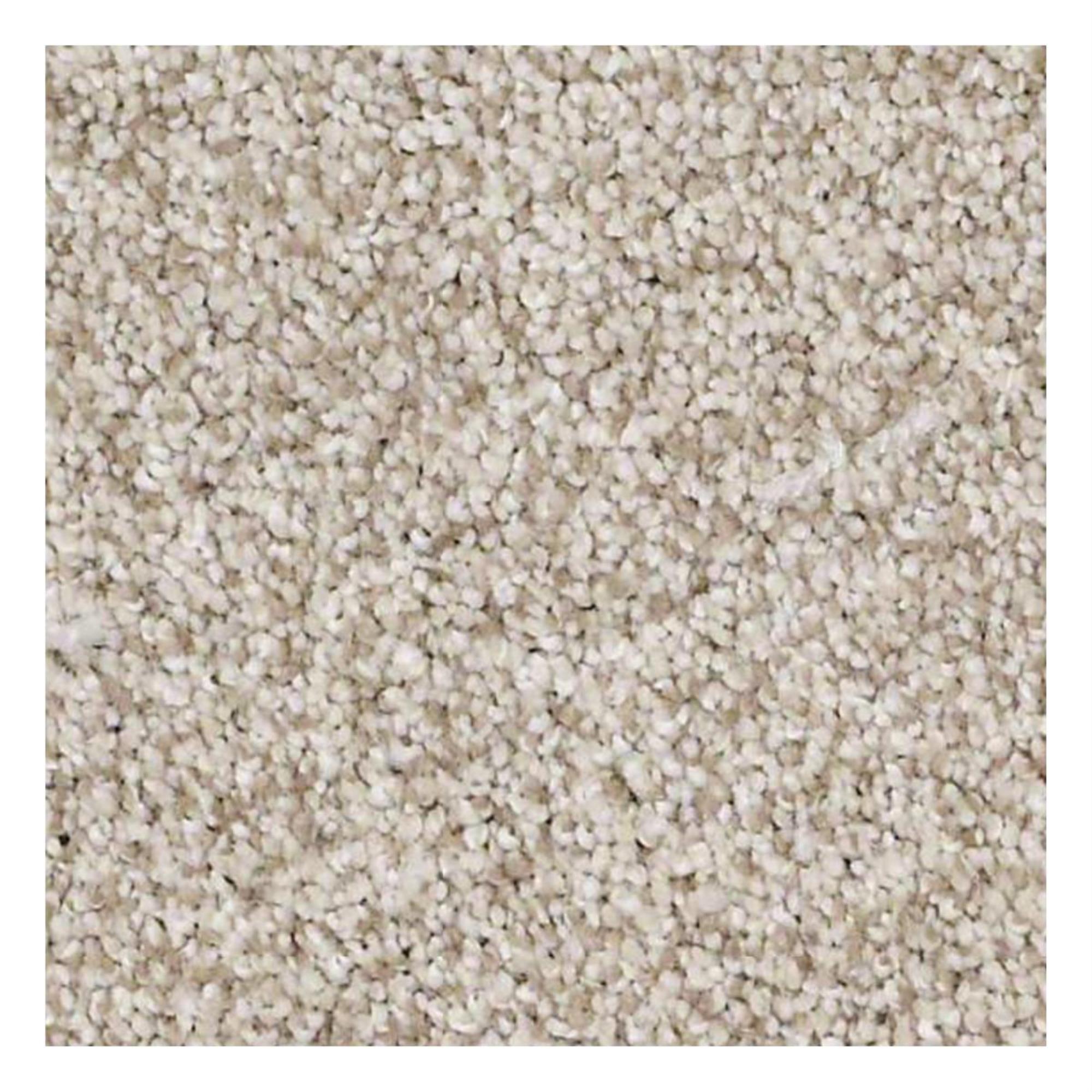 Shaw Platinum Texture Tonal Carpet in Anchorage NFM