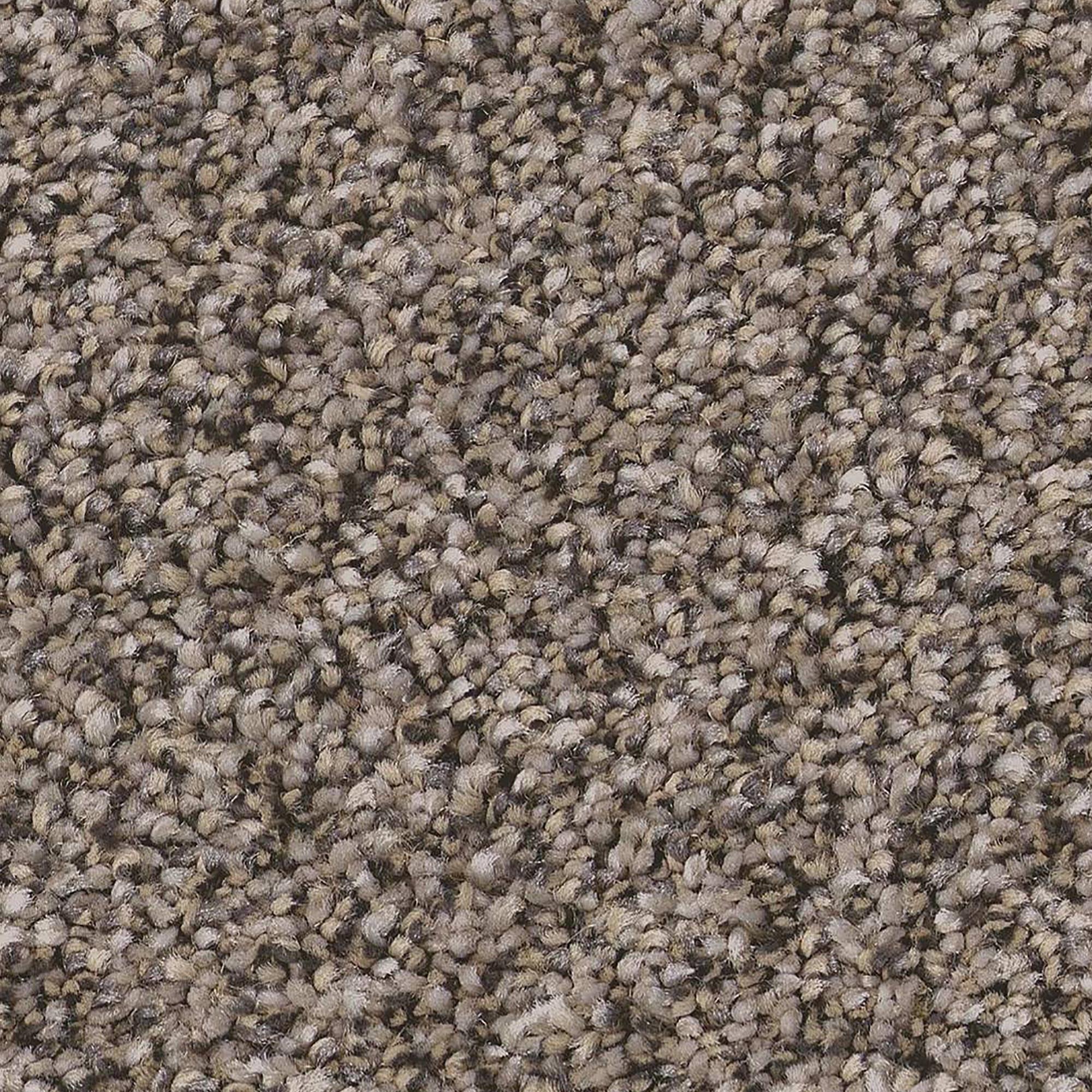 Anderson Tuftex Kaleidoscope Carpet in Natural Stone NFM