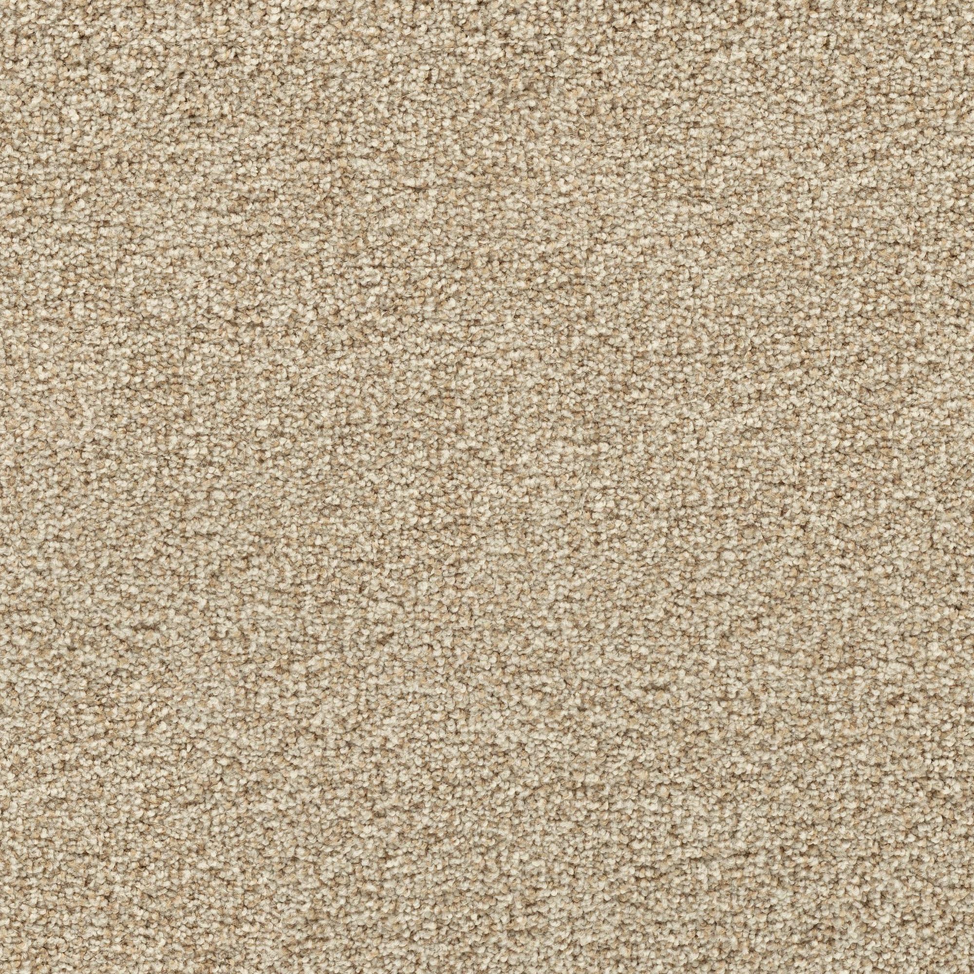 Mohawk Charming Idea Carpet in Colonial Ash NFM