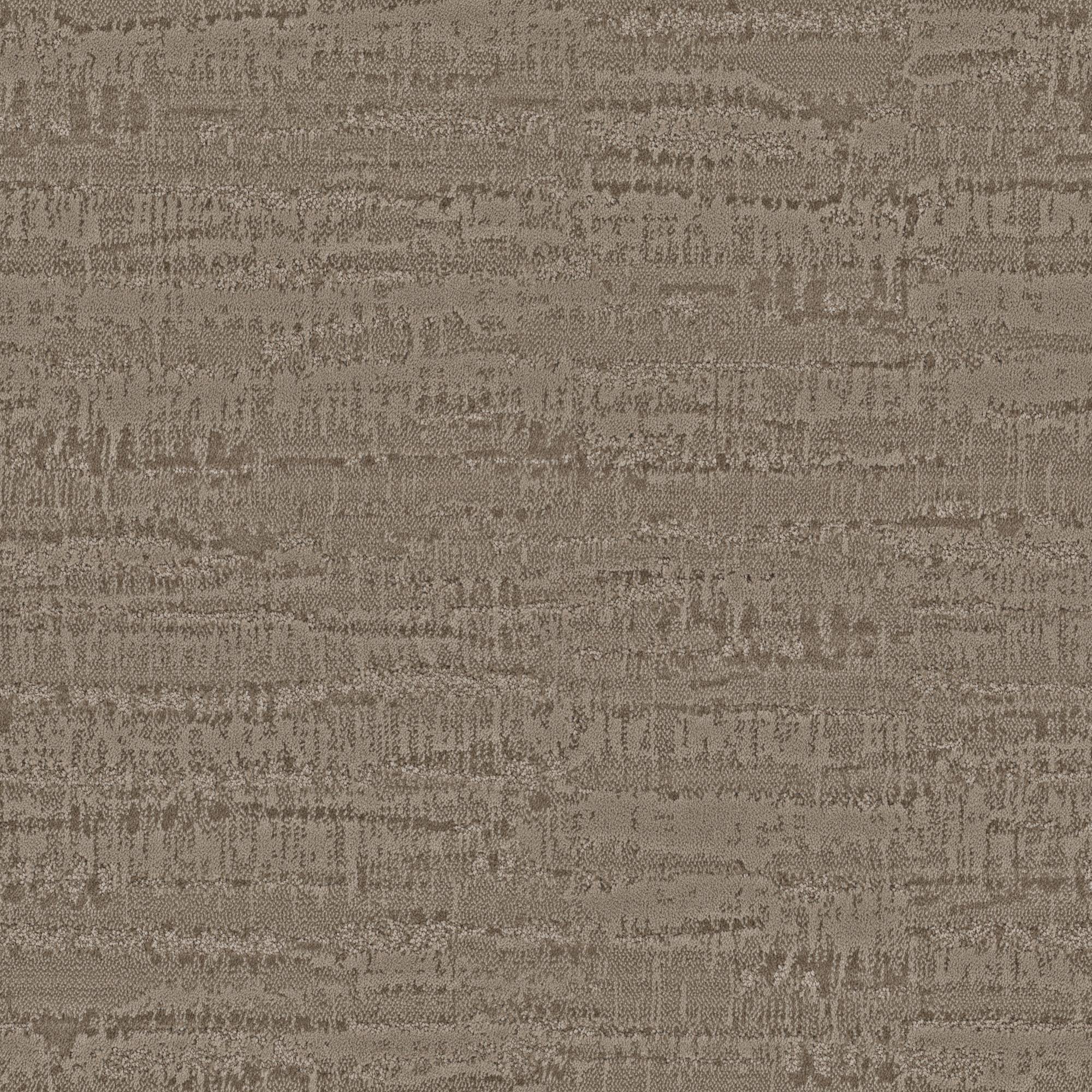 Anderson Tuftex Arbor Carpet in Driftwood