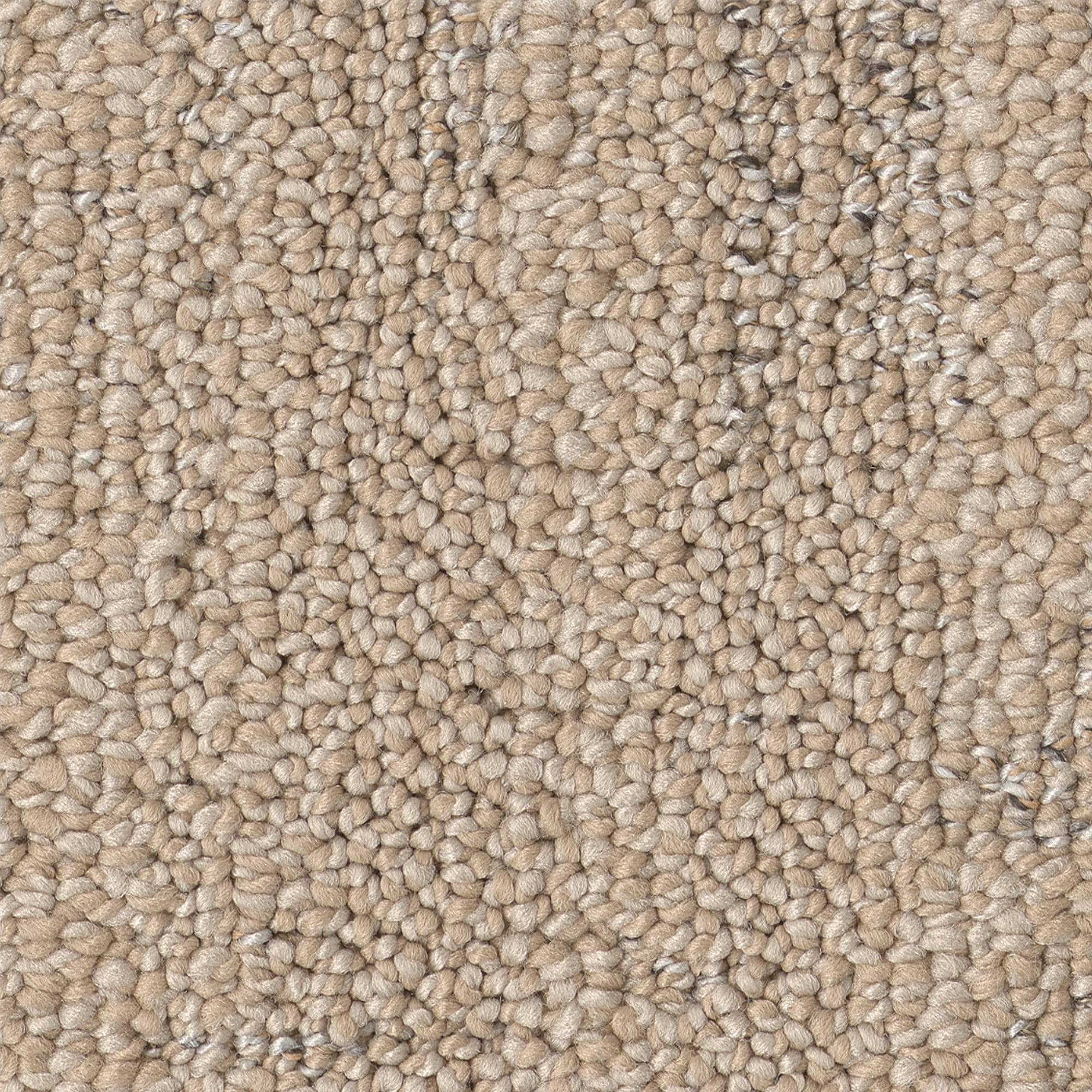 7739826-1.jpg