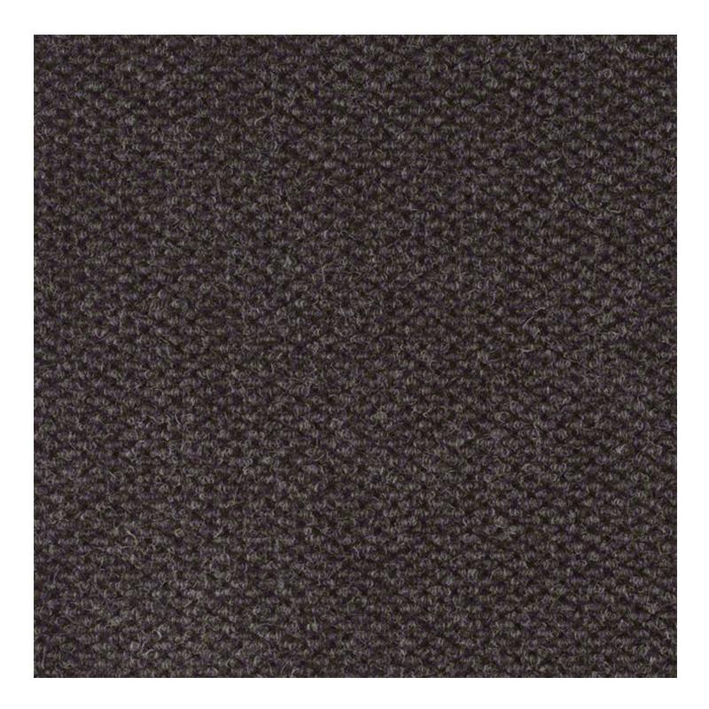 Shaw Succession II 24" x 24" Carpet Tile in After Dark Shop NFM